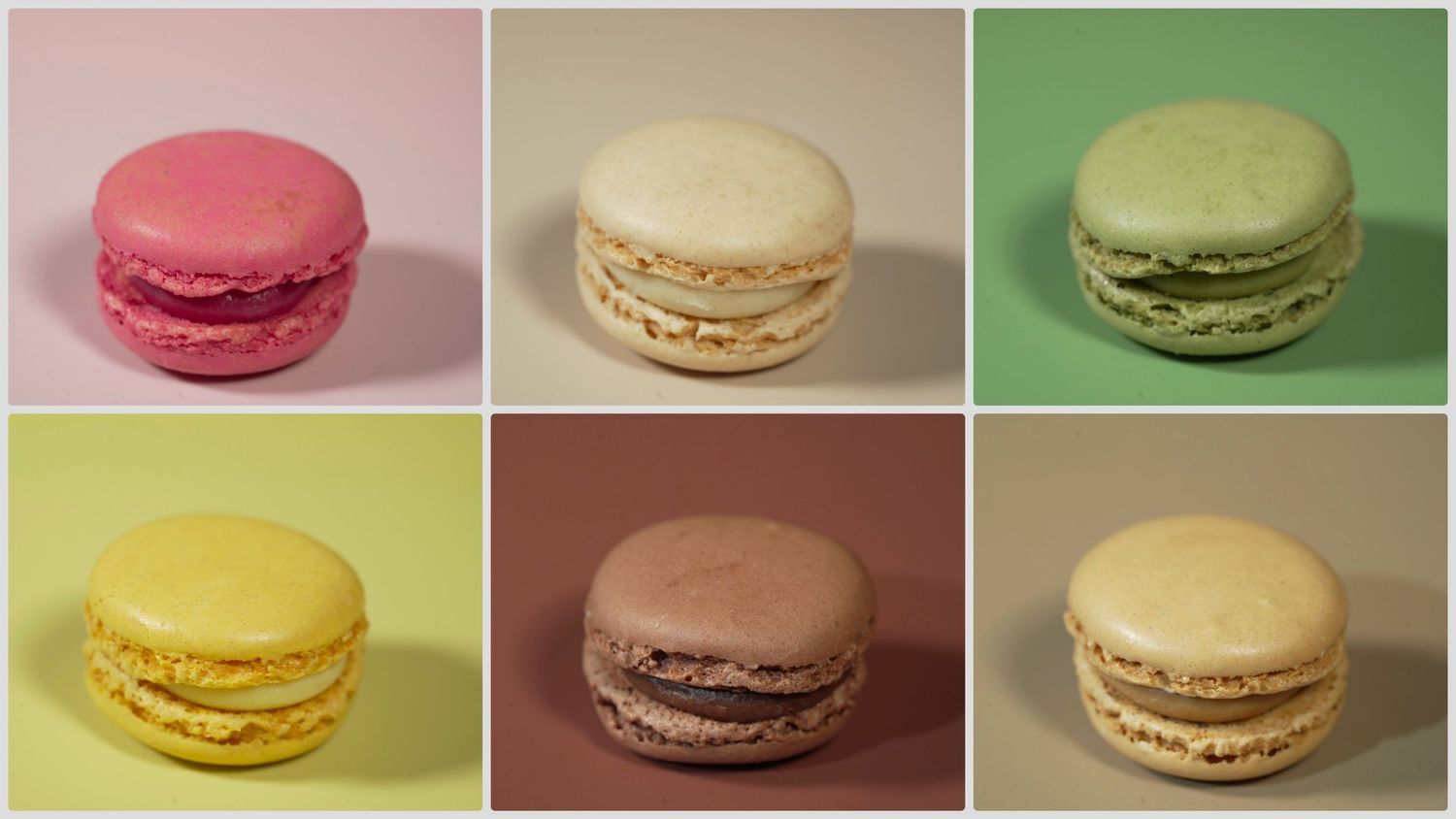 Collection of six colorful macarons arranged in grid pattern against pastel backgrounds.