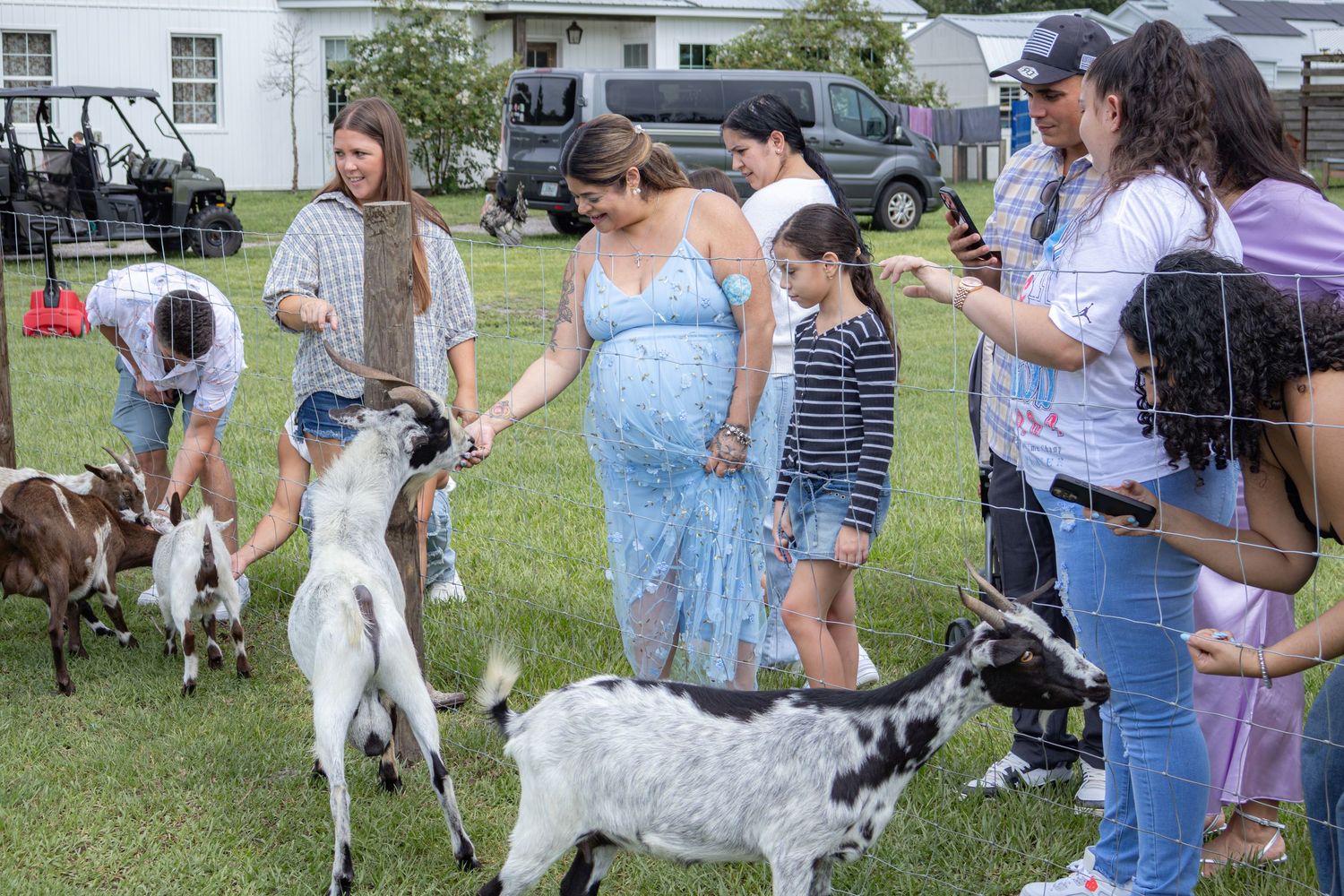 Guests at a baby shower gather in a grassy farm area to pet and feed friendly goats on a sunny day.