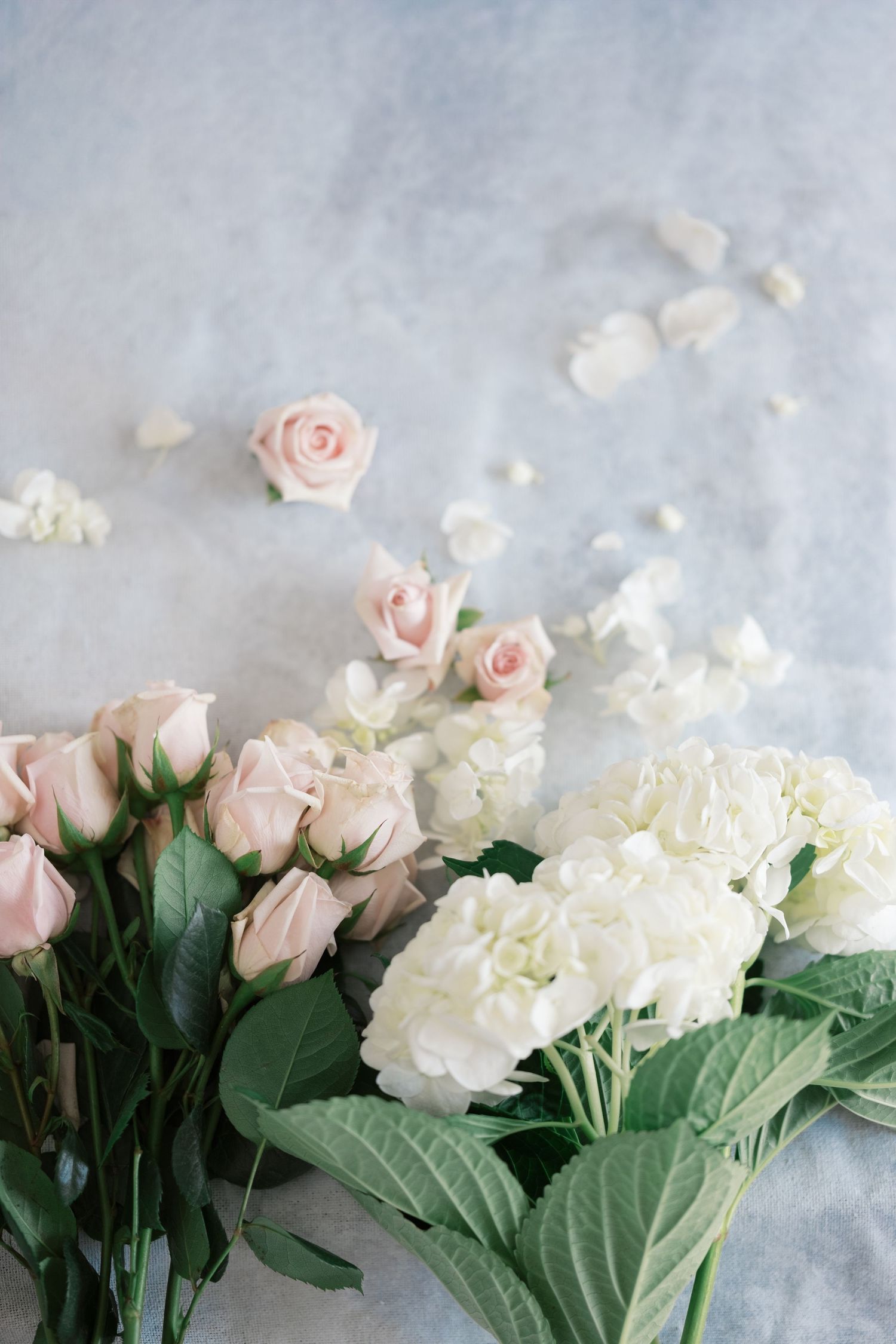 Delicate pink roses and white hydrangeas with green leaves arranged on a light gray marble surface. Maternity cambridge uk photographer.