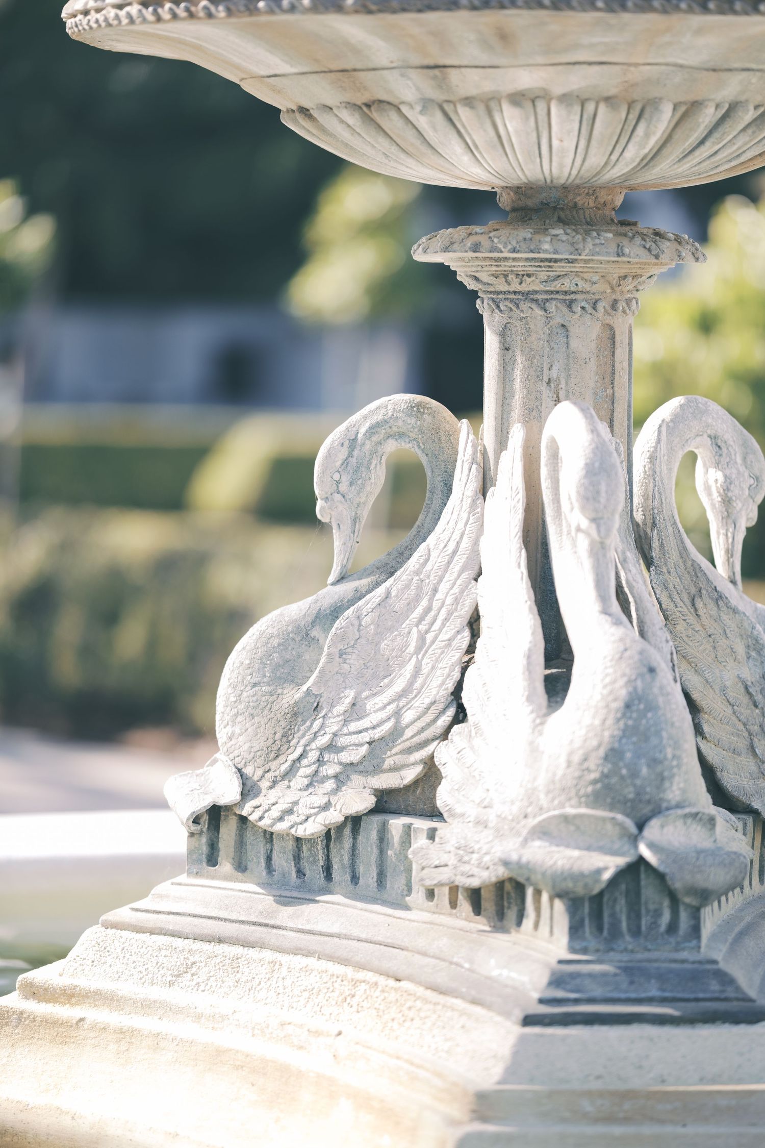 Close-up view of ornate white stone swan sculptures decorating a classical garden fountain base. wedding uk photographer.