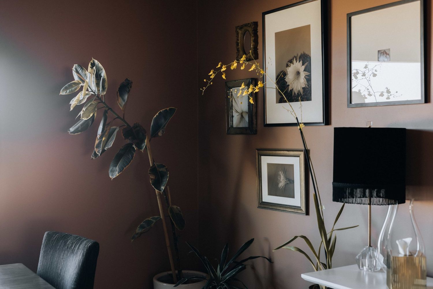 Cozy interior corner with dark brown walls, framed botanical art, potted plants, and a black lamp on a white side table.