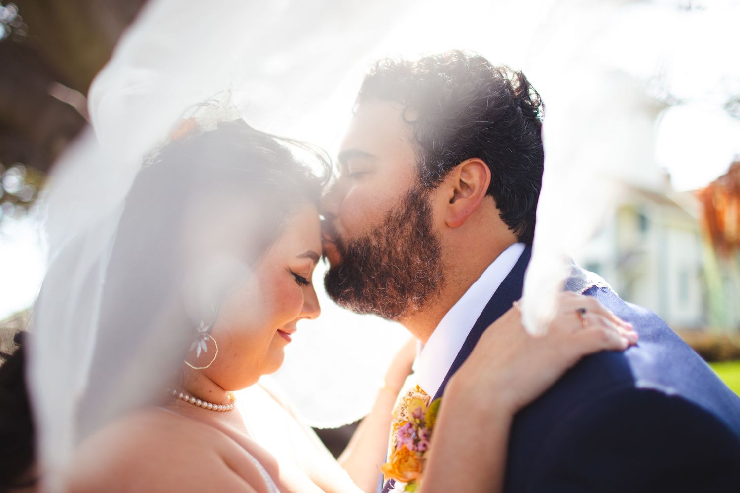bride's veil wedding image