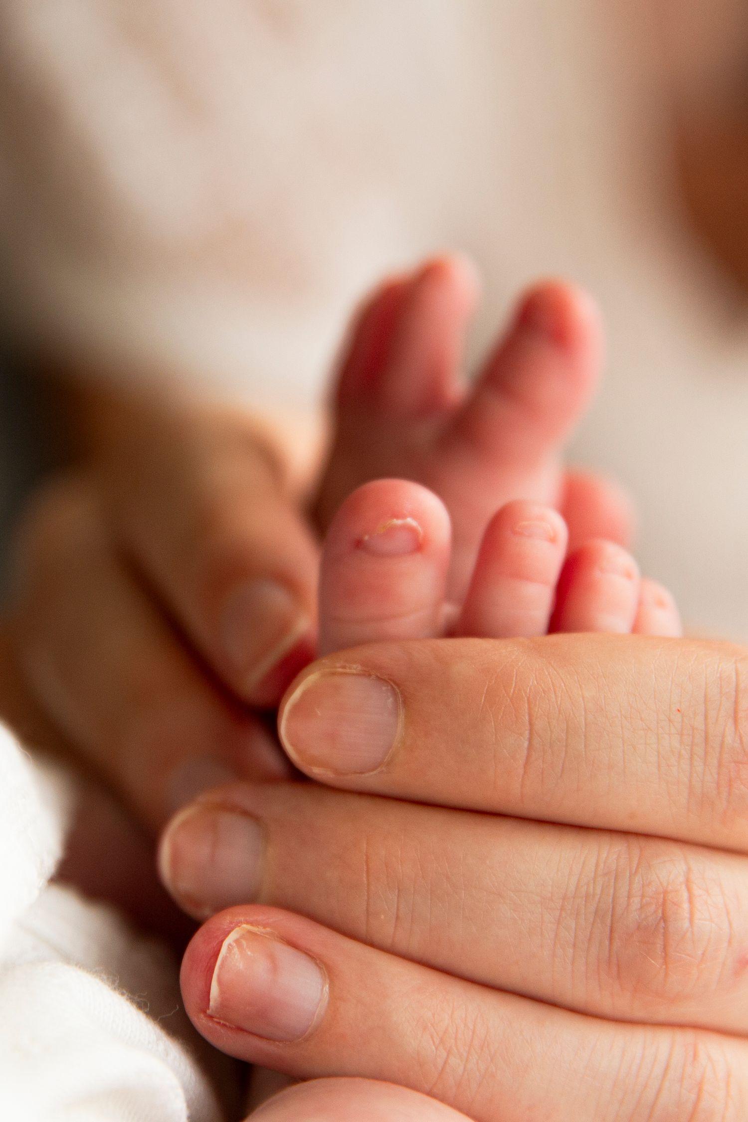 natural newborn photography in Hills District