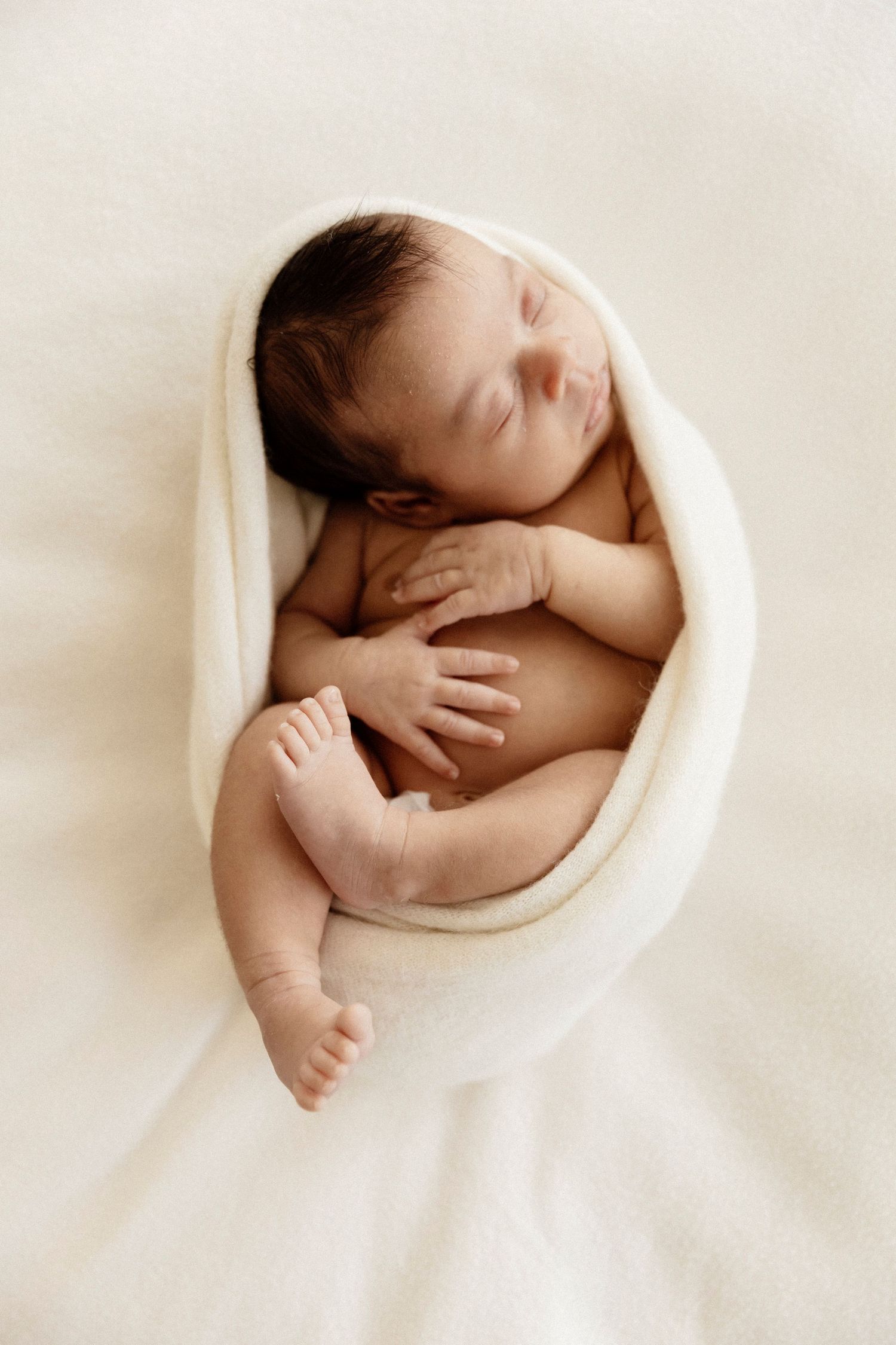 natural light newborn photography-north-shore