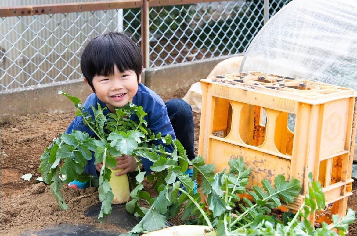 A young beginner gardener crouches near green leafy plants growing beside a wooden crate outdoors.