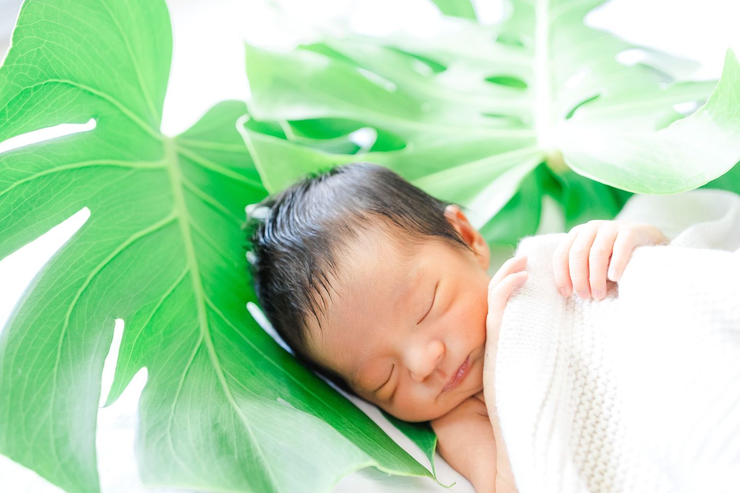 Peaceful sleeping newborn rests on white blanket with monstera leaves in background. Oahu Newborn Photographer