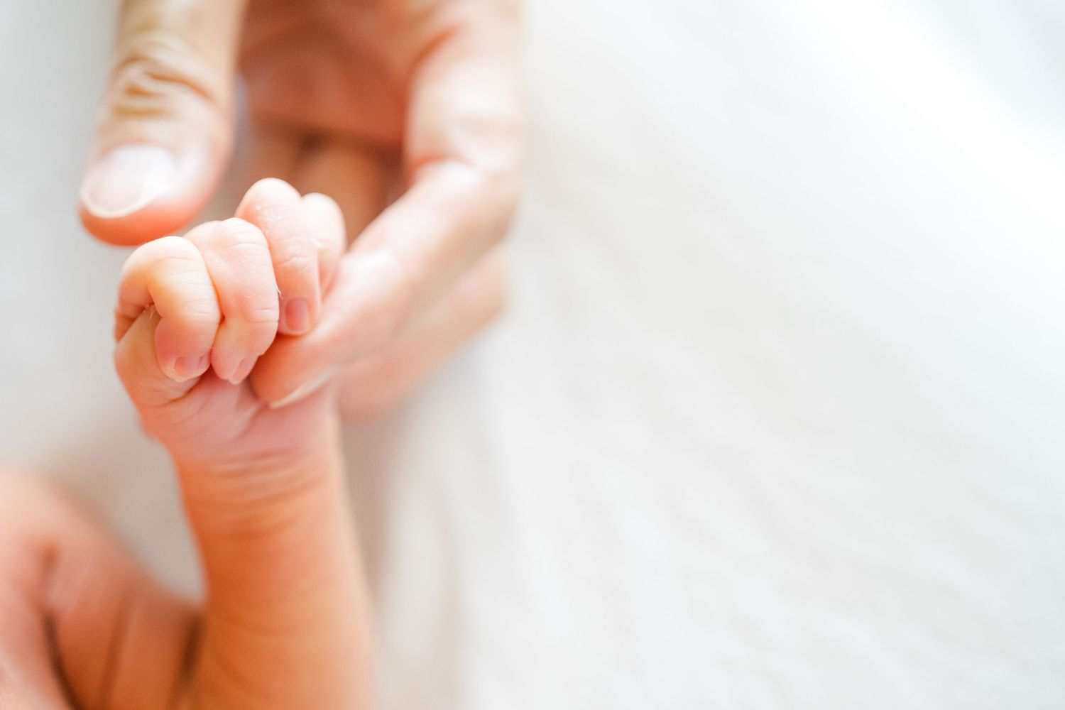 A tiny baby's hand gently grasps an adult's finger against a soft white background.　Oahu Family Photographer | Aya S Tomikawa Photography
