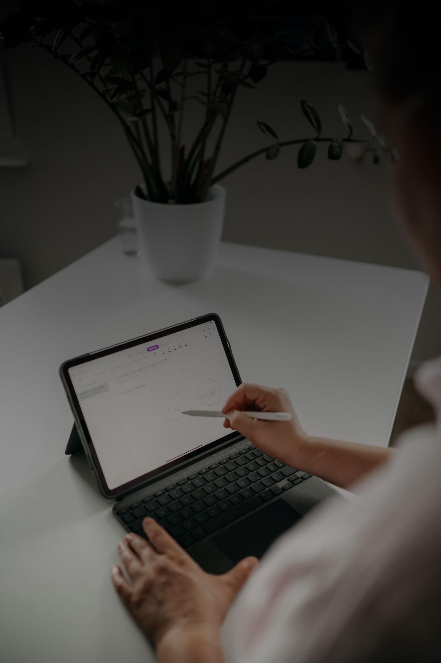 Seo Kurs, Online-Kurs für Suchmachinenoptimierung, organische reichweite auf google steigern