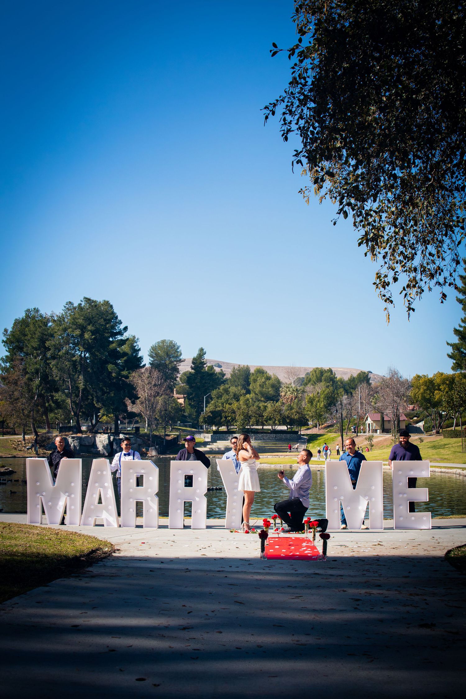 marry me engagement