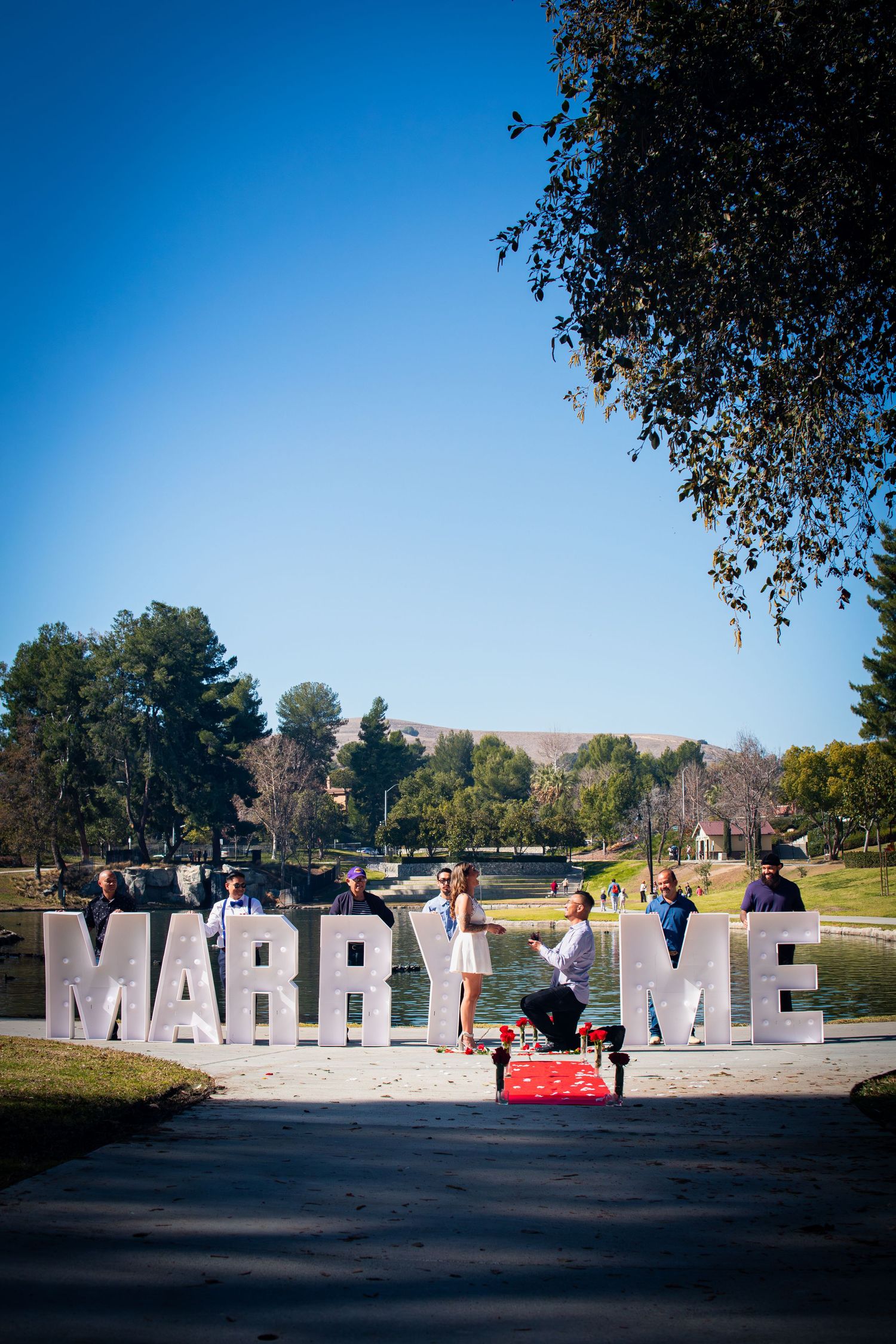 engagement shoot marry me