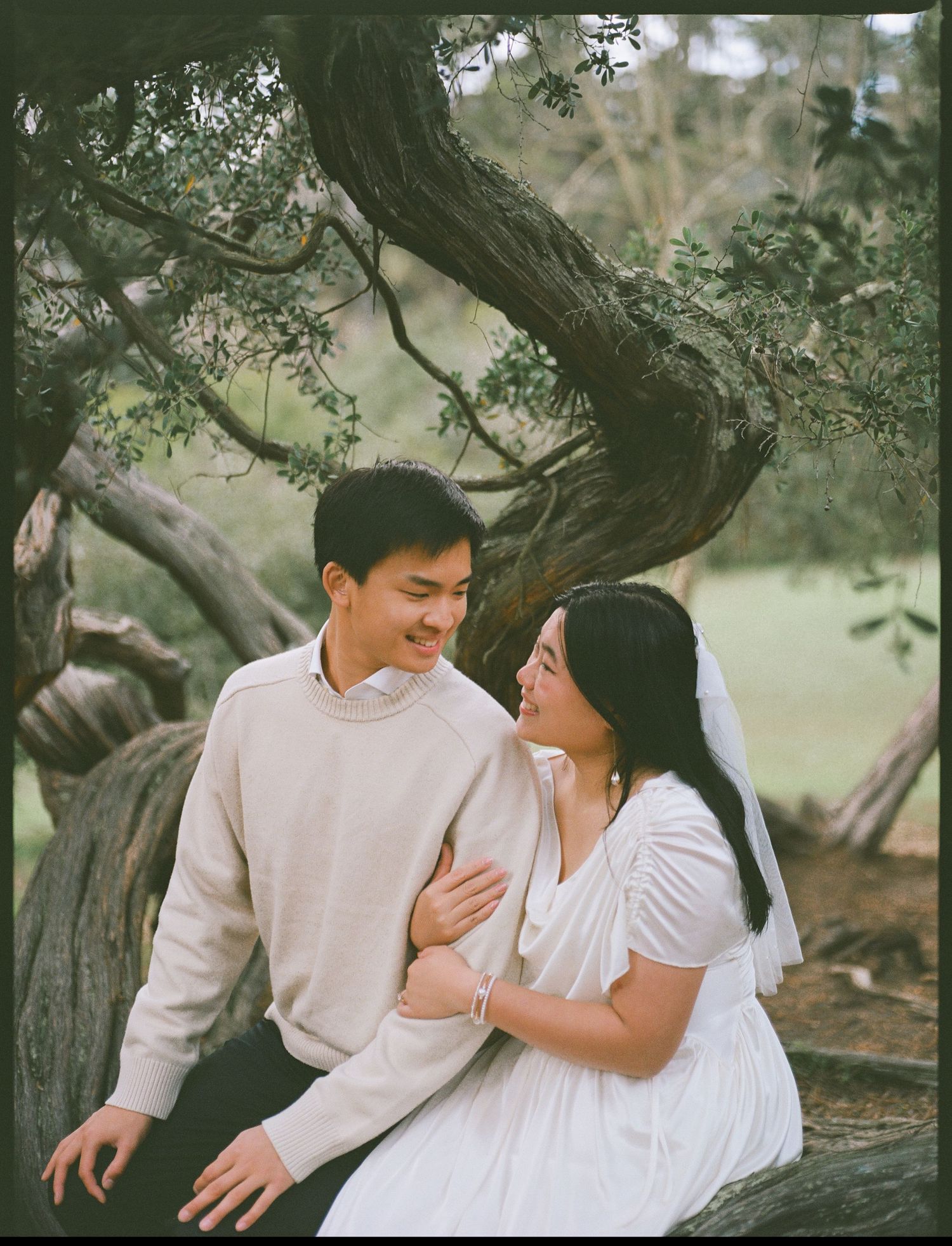 San Francisco engagement photos