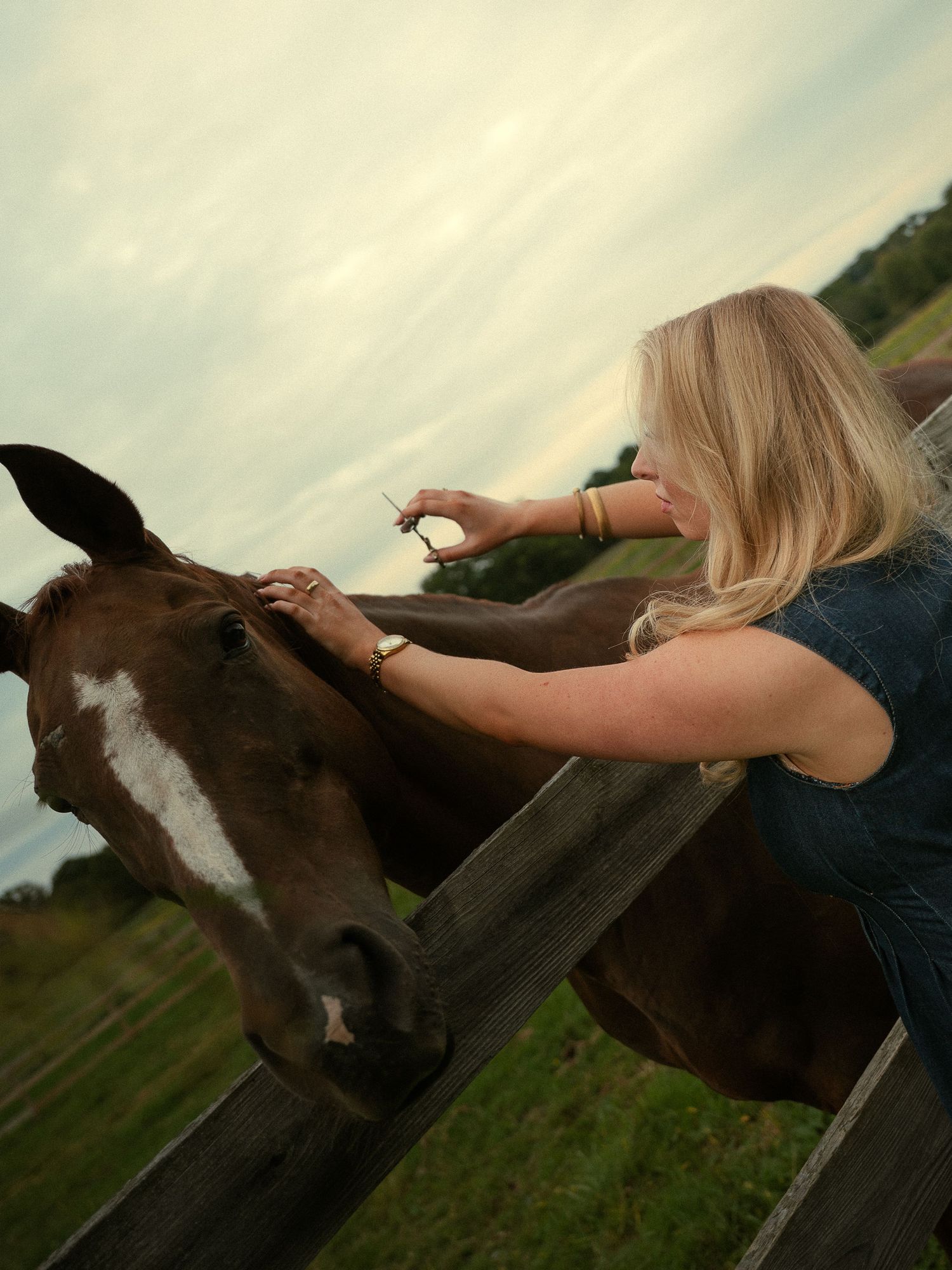 Blonde woman leaning over wooden fence to pet a dark brown horse with white blaze on a farm.