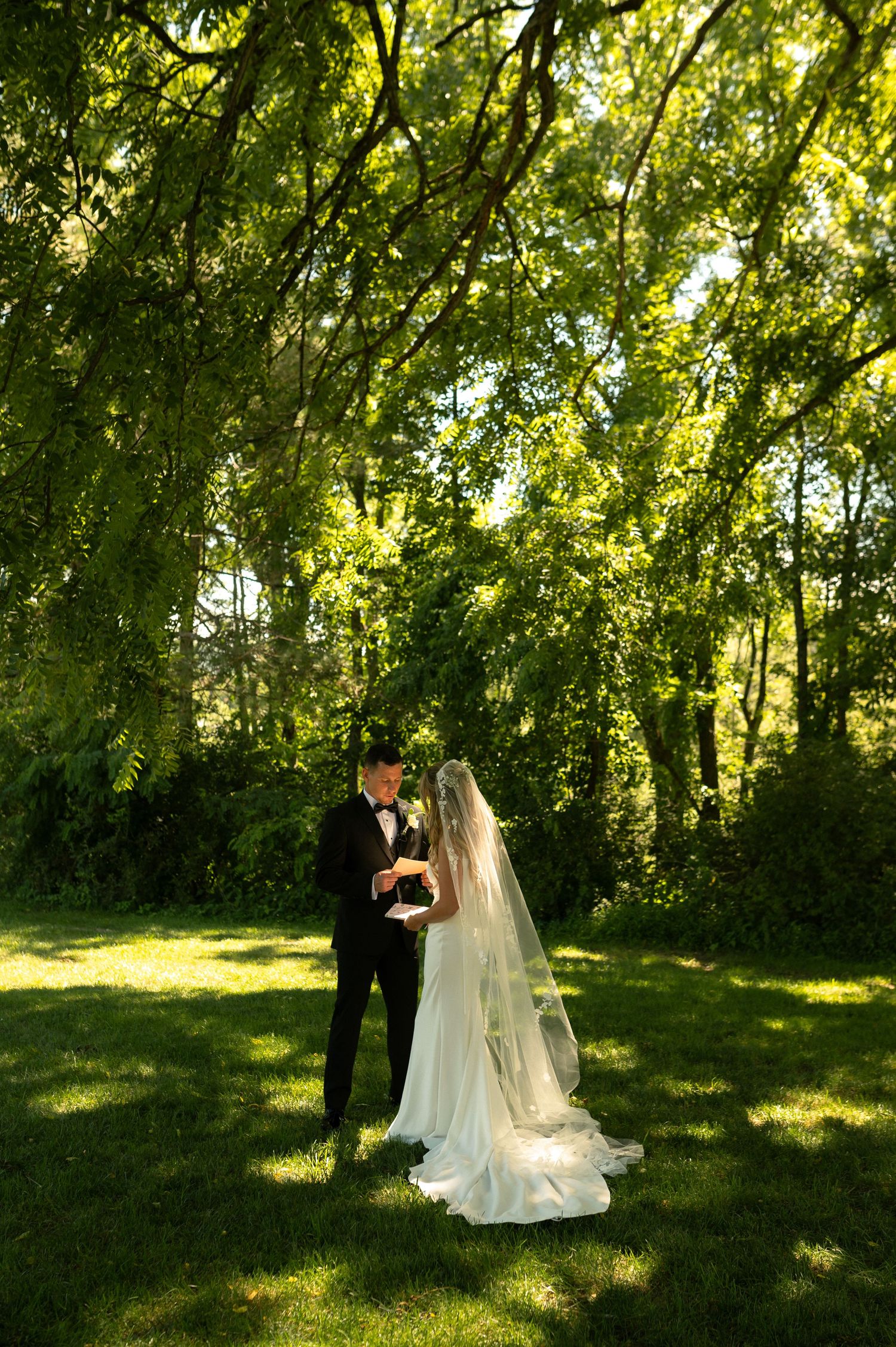 Wedding couple stands under sunlit green trees in a garden setting.