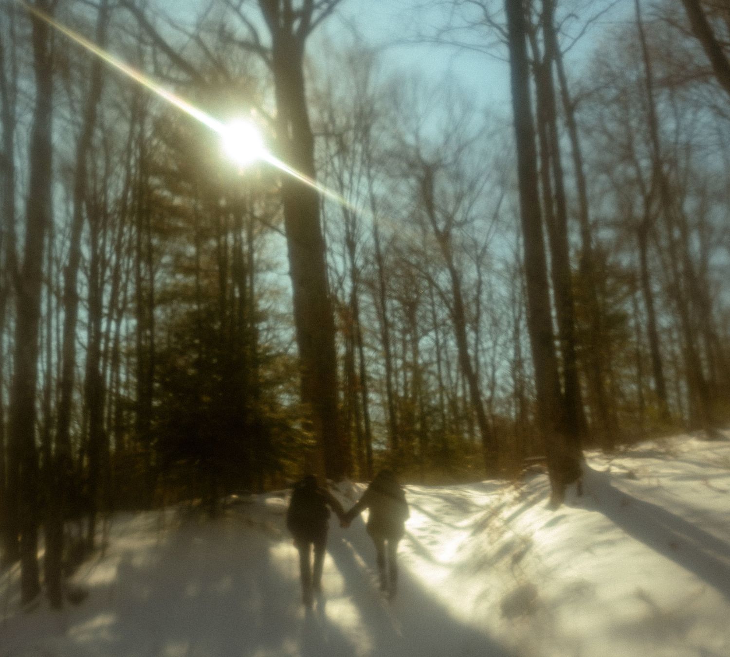Sunlight streams through bare winter trees casting long shadows on snowy ground in a dreamy forest scene.