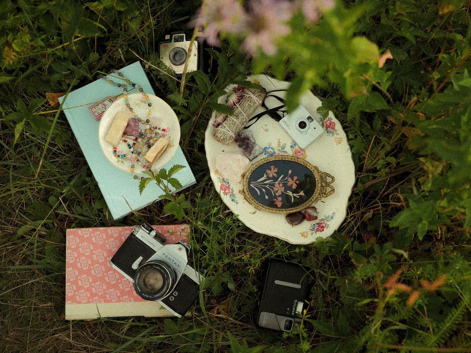 Vintage cameras and floral decorative plates arranged on lush green grass with wildflowers in a nostalgic flat lay.