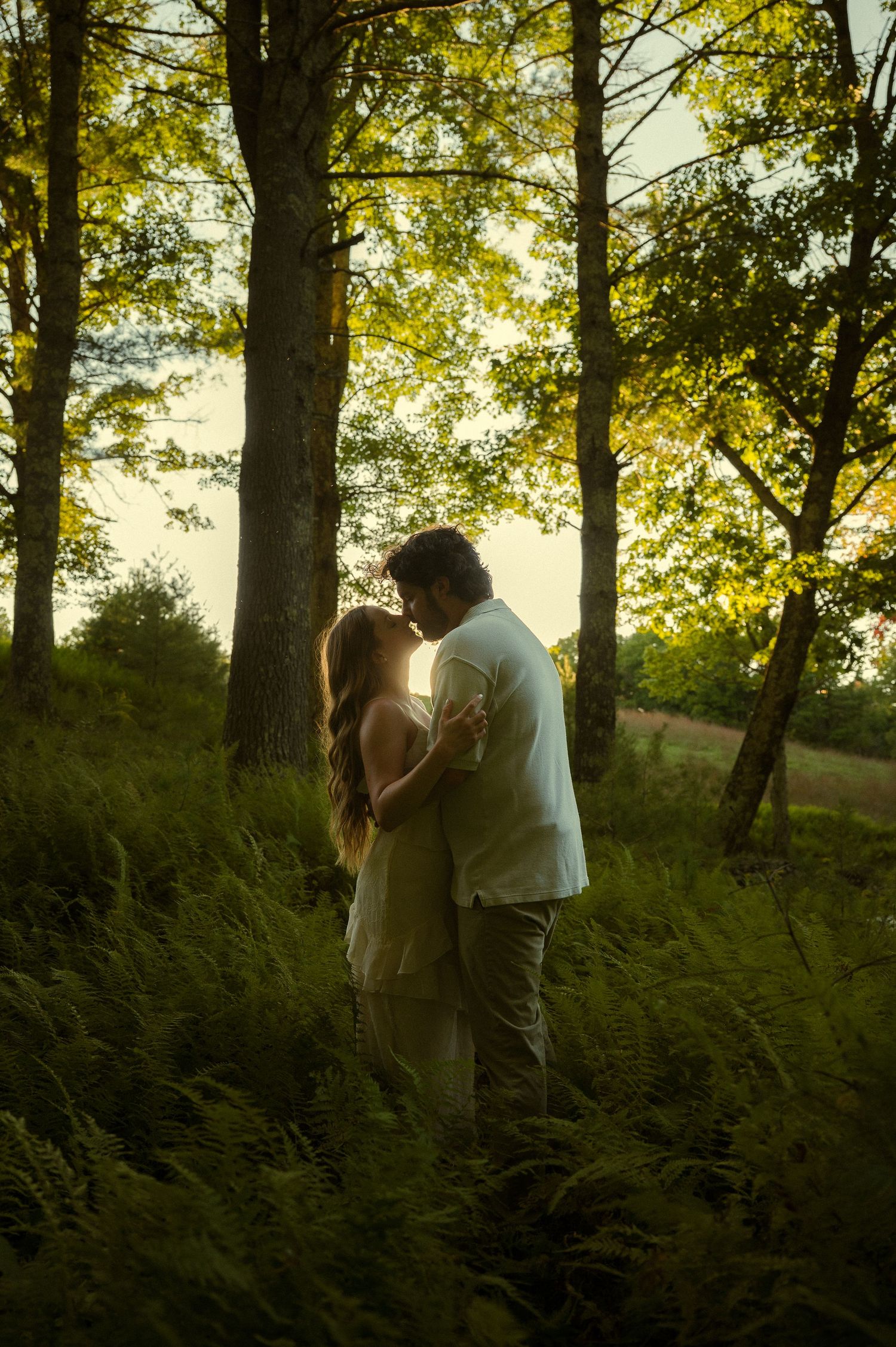 A couple shares a romantic kiss among lush ferns in a sunlit forest during golden hour.