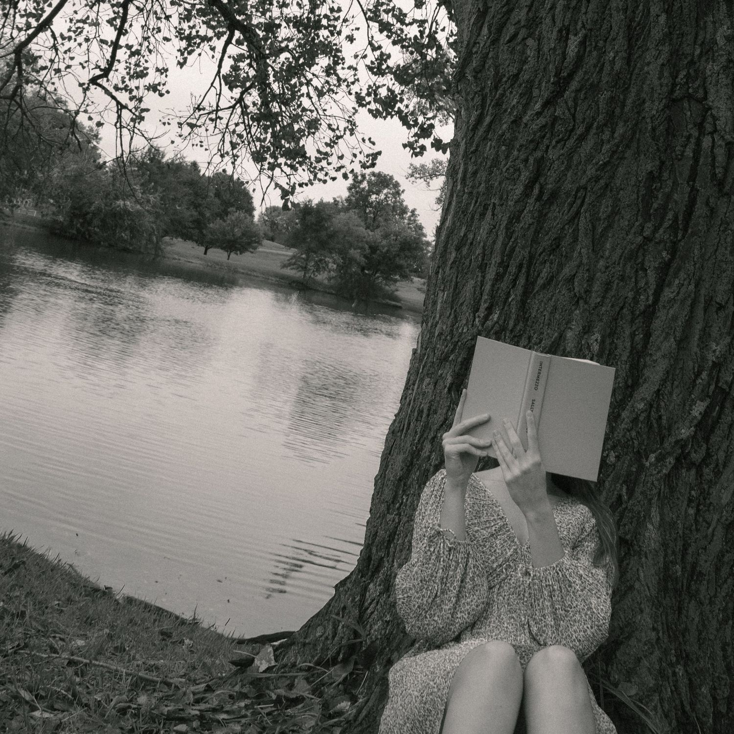 Girl reading book against tree.