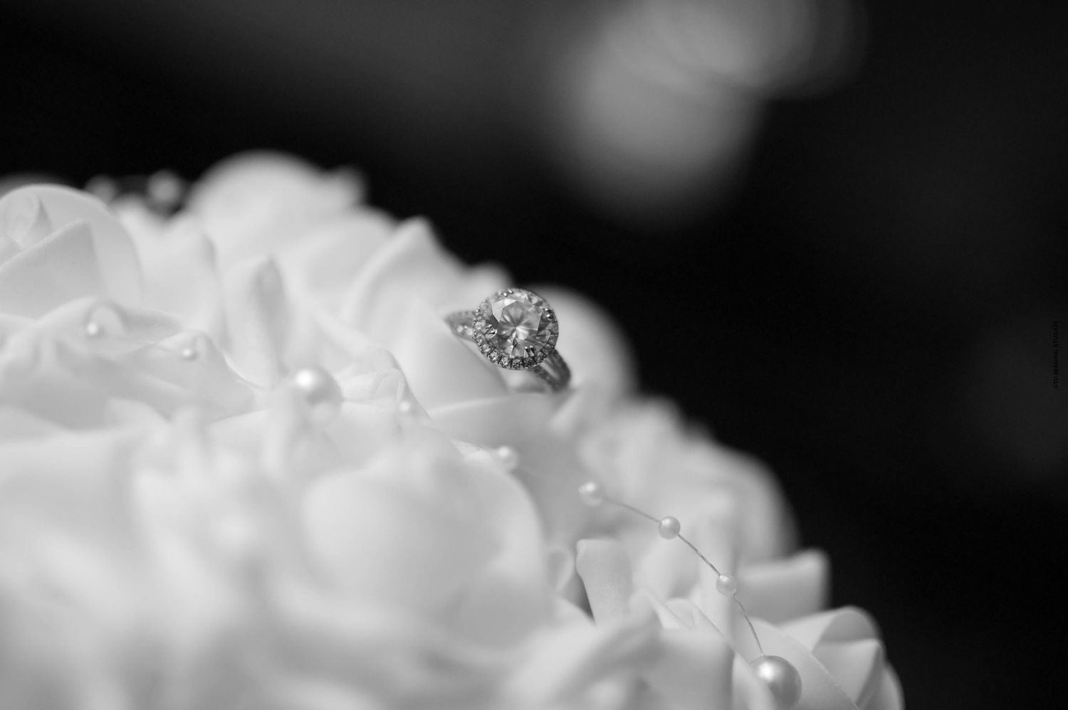 81 All Rights Reserved. TD Imaging Studios.
