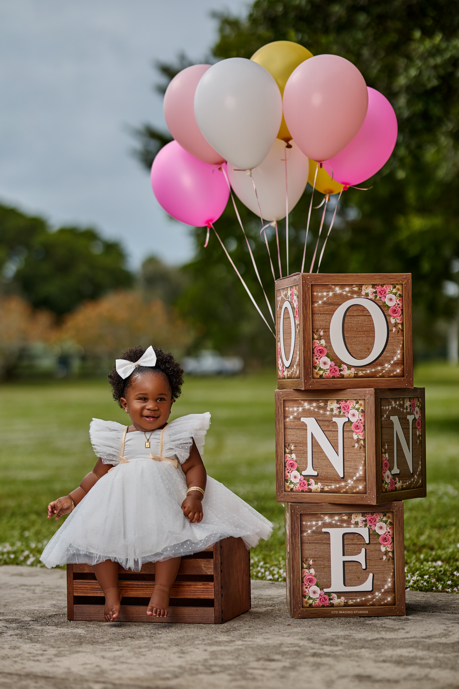 25 All Rights Reserved. TD Imaging Studios.