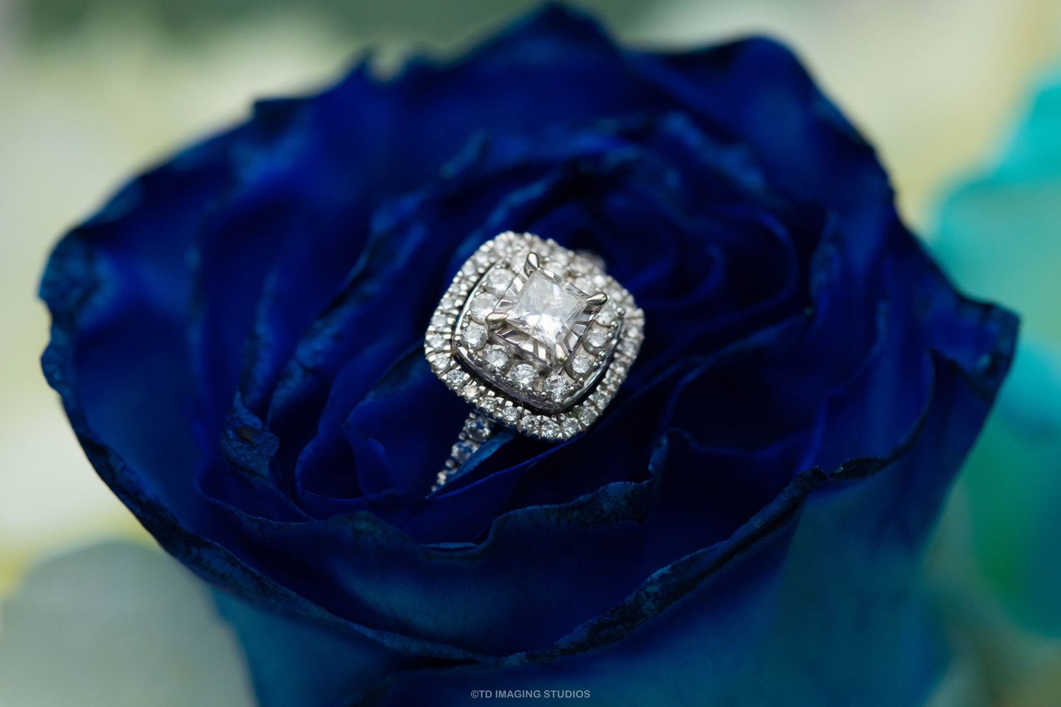 54 All Rights Reserved. TD Imaging Studios.