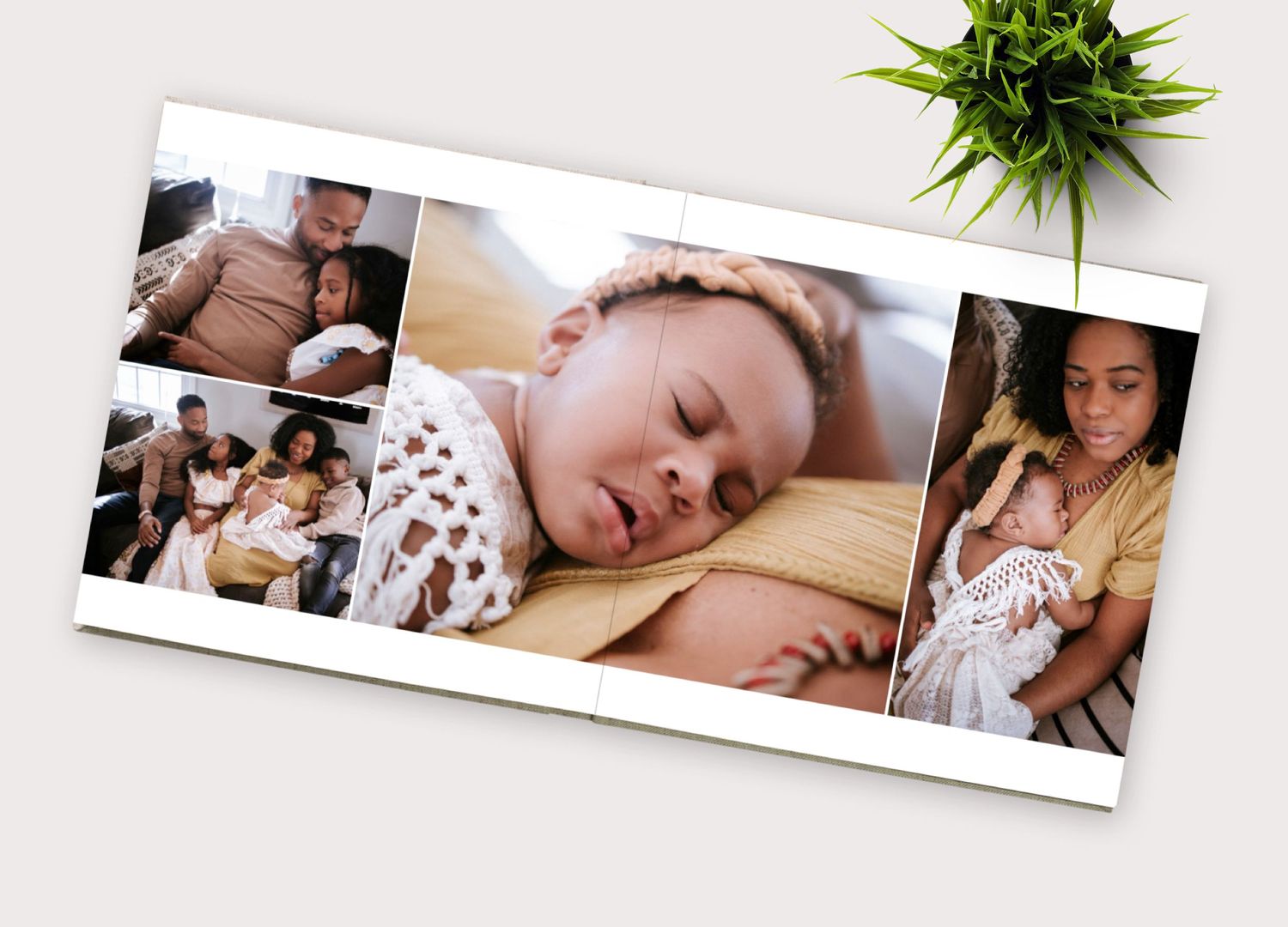 Photo album design with green foliage accent and lifestyle photography collection.