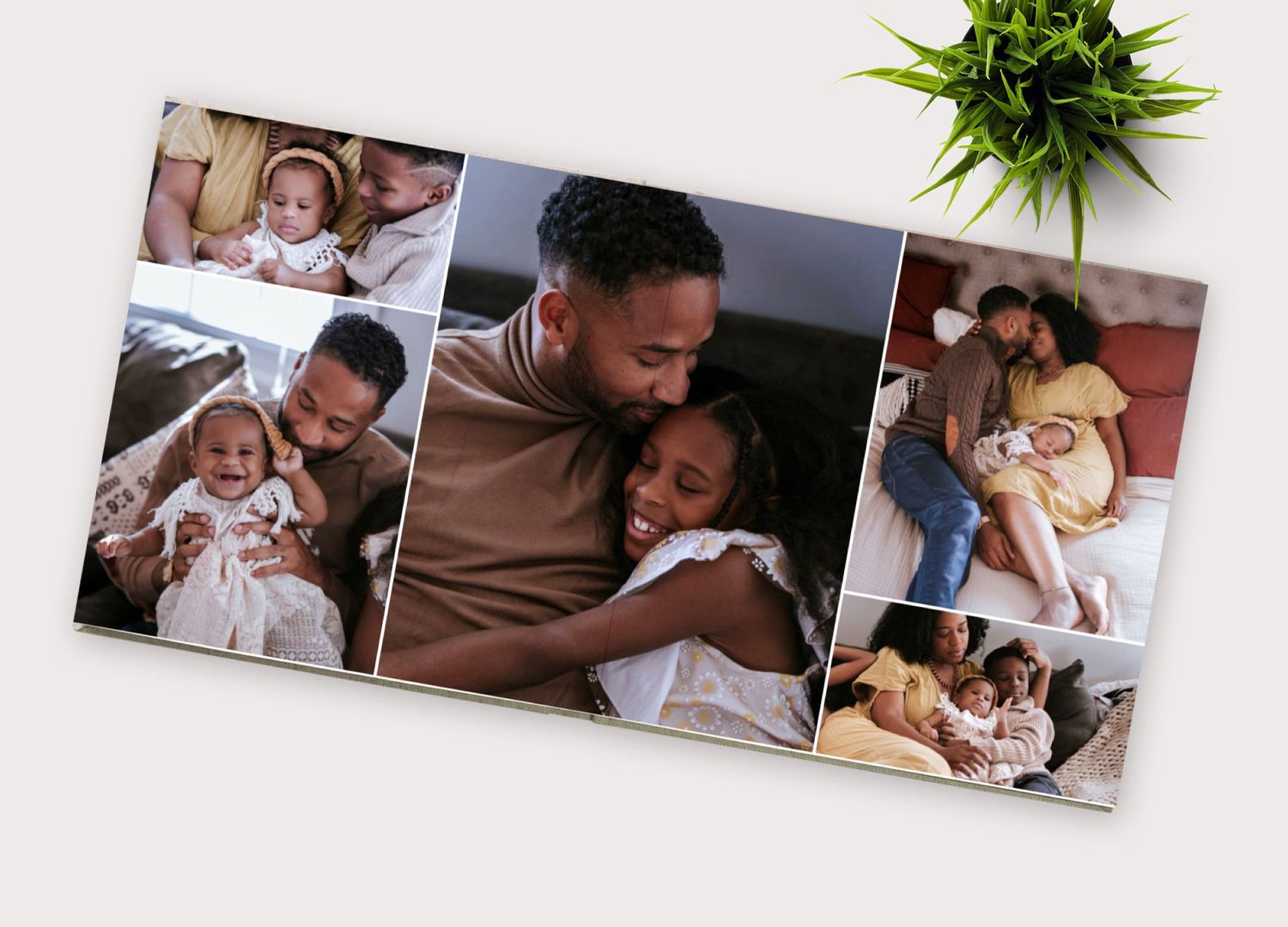Modern photo album design with green plant and family moments displayed in a row.