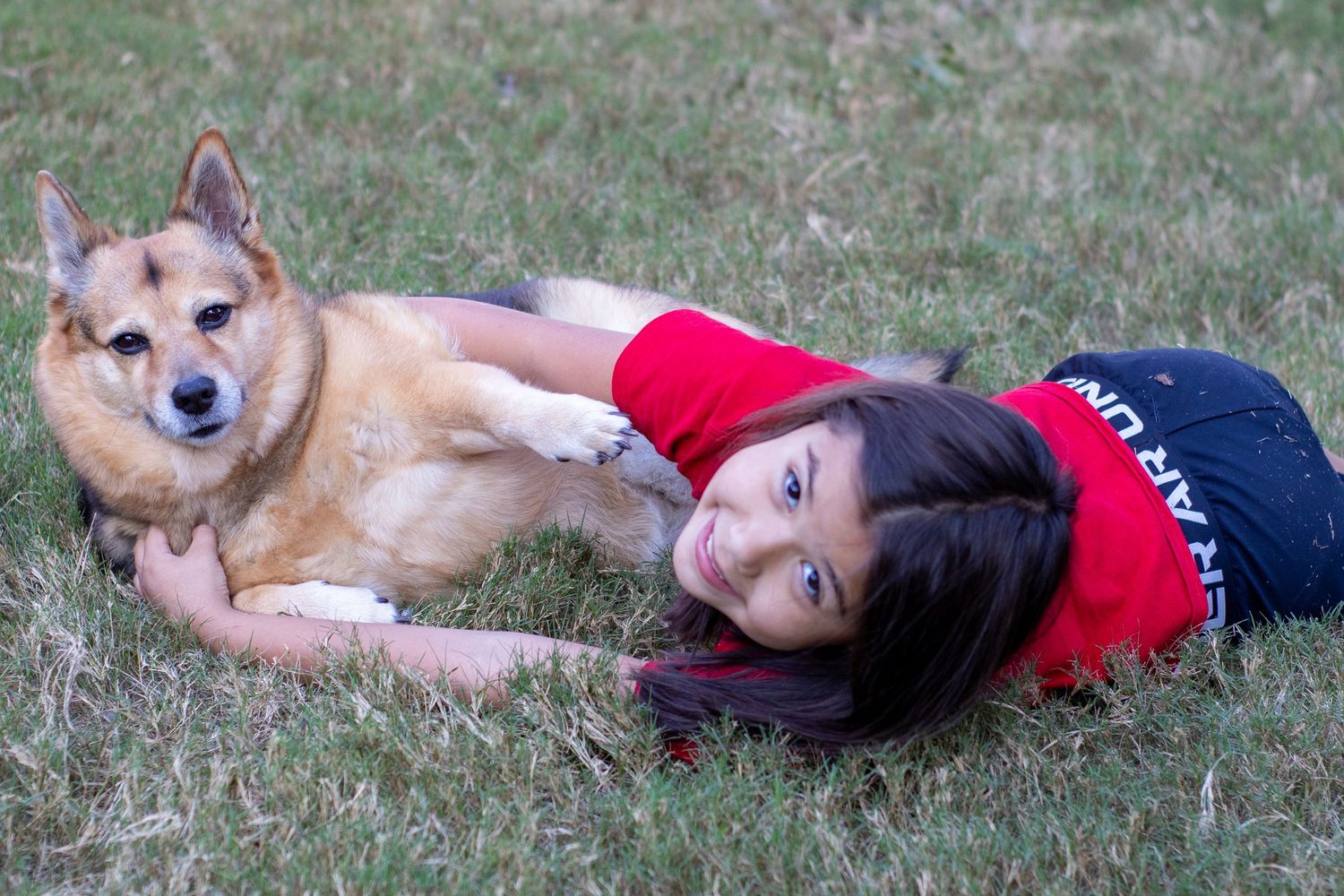 A person lies peacefully on grass while cuddling with a tan and white Shiba Inu dog.