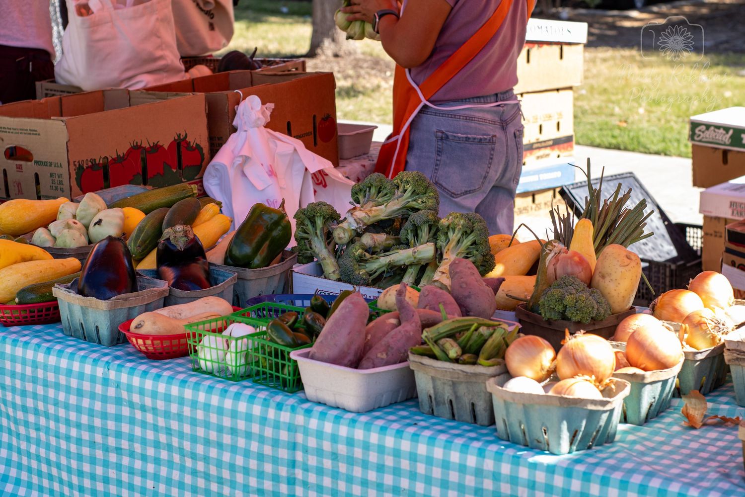 Fresh produce and vegetables displayed on tables with blue checkered tablecloths at a farmers market.