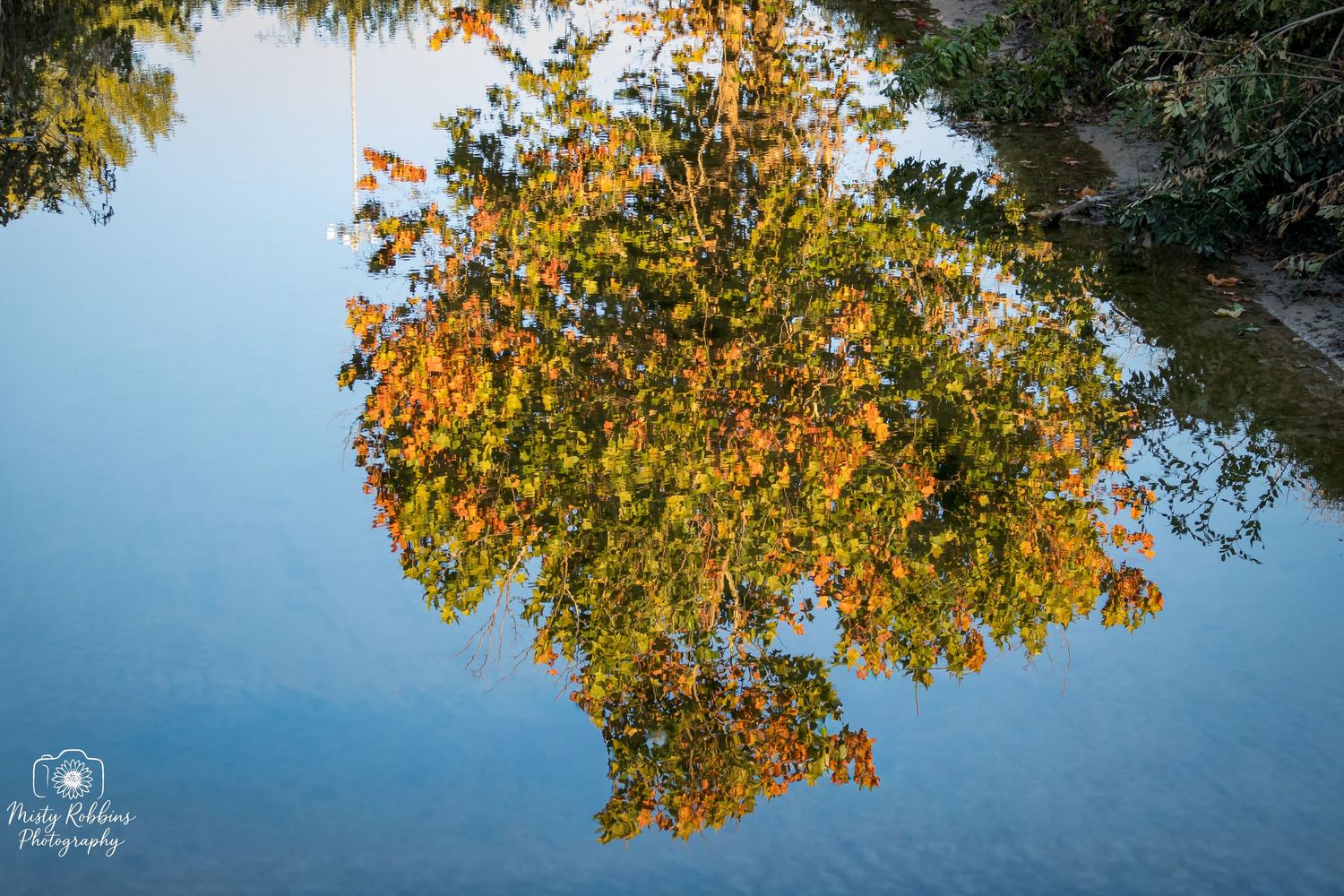 Golden autumn leaves frame a tranquil blue lake reflecting the colorful fall foliage against a serene sky.