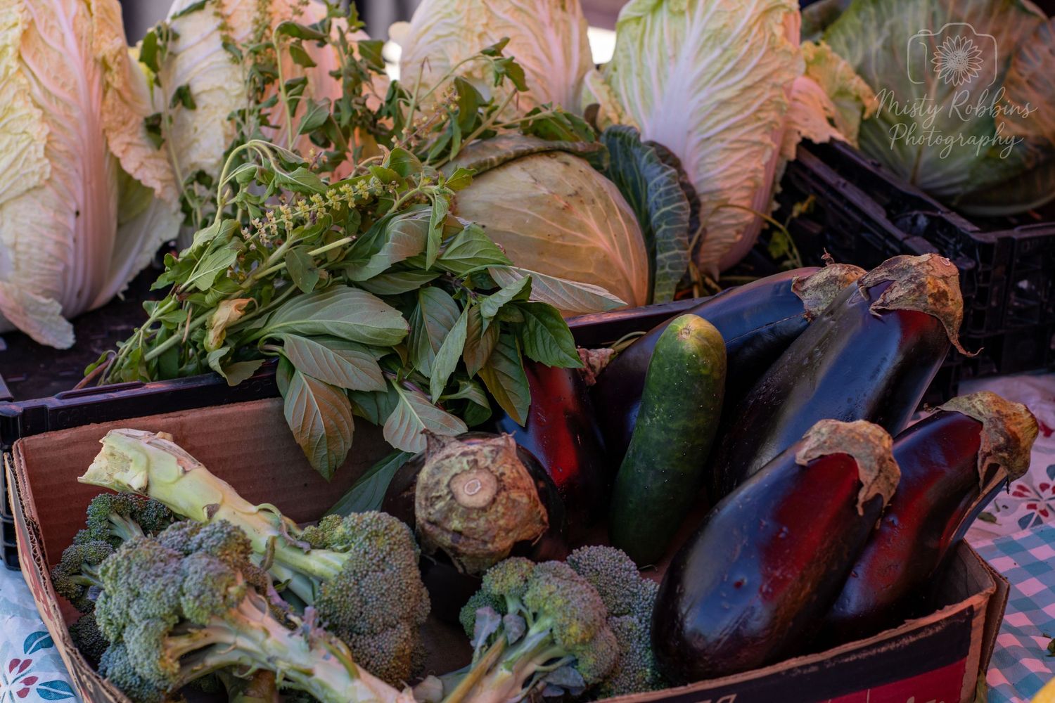 Fresh lettuce and leafy green vegetables displayed at a local market or produce stand.