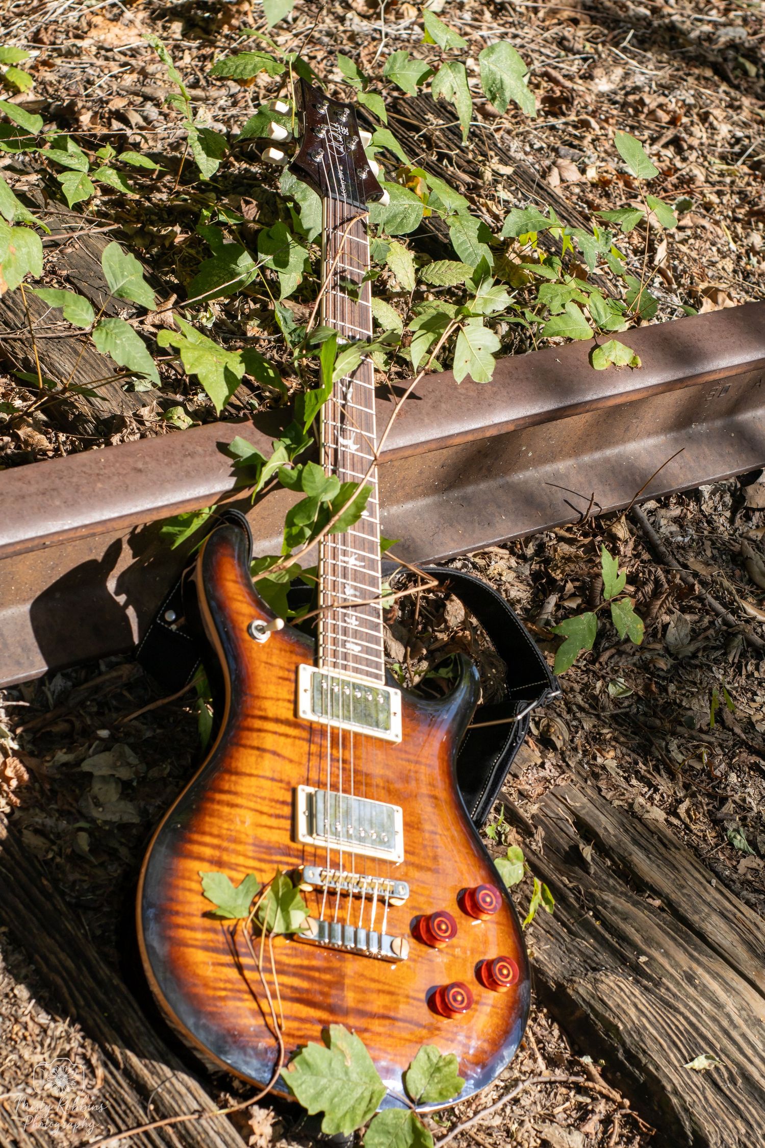 Electric guitar with sunburst finish rests among fallen leaves and green foliage in outdoor setting.