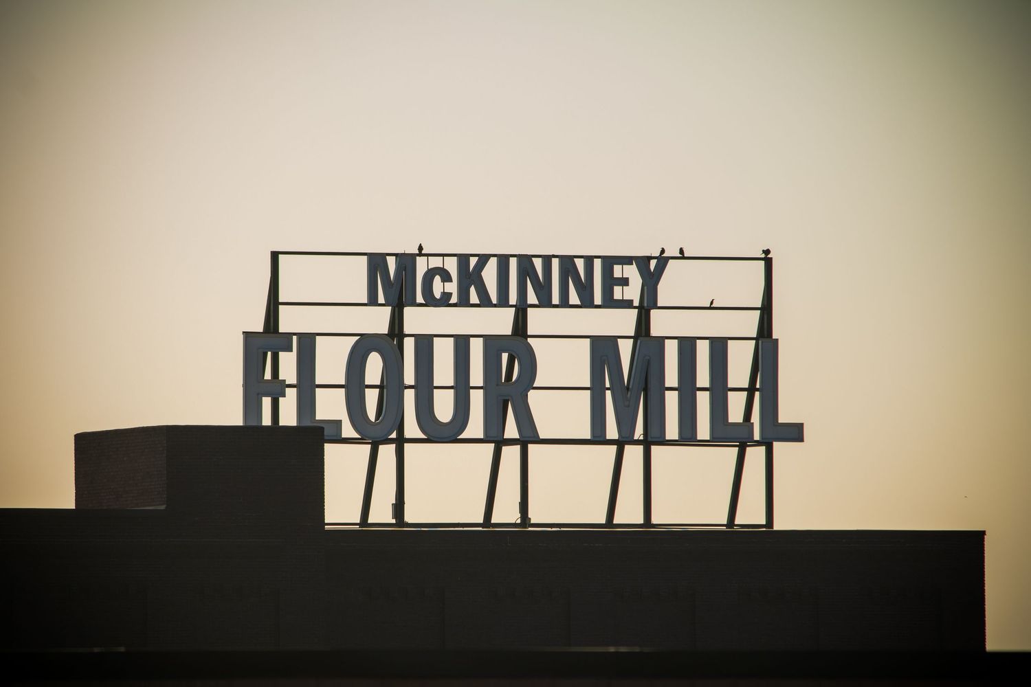 Silhouetted signage on building rooftops against a vintage-toned sky.