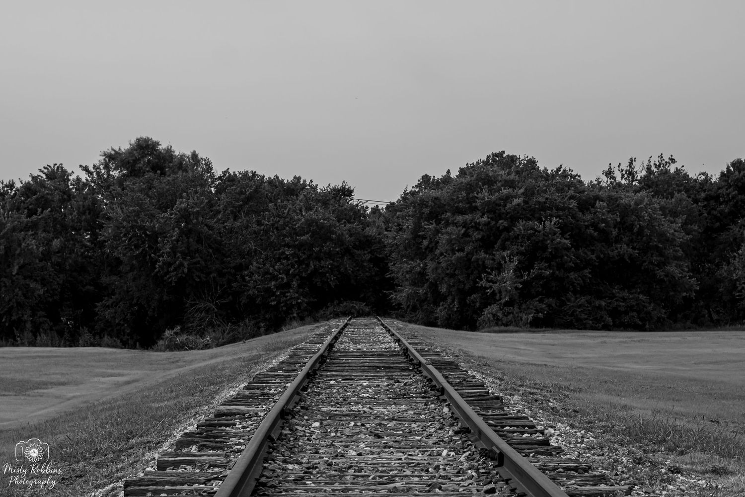 Black and white railroad tracks stretch into the distance through a rural landscape with trees on both sides.