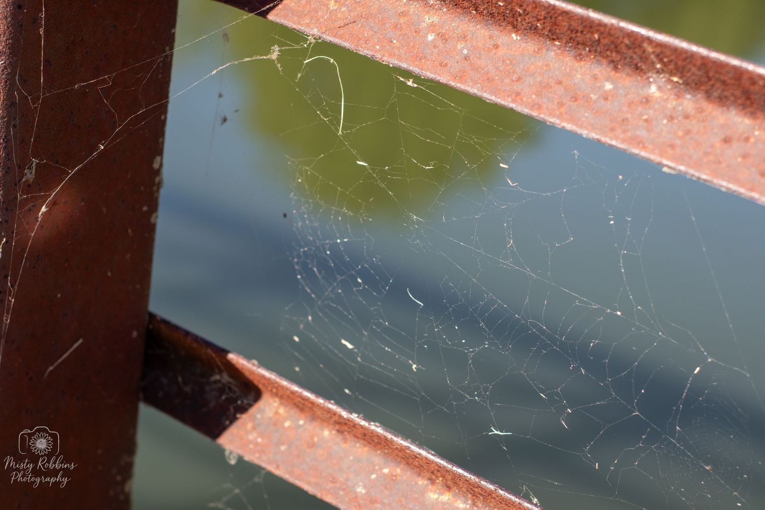 A wooden deck railing covered in frost and ice crystals creates a wintry outdoor scene.