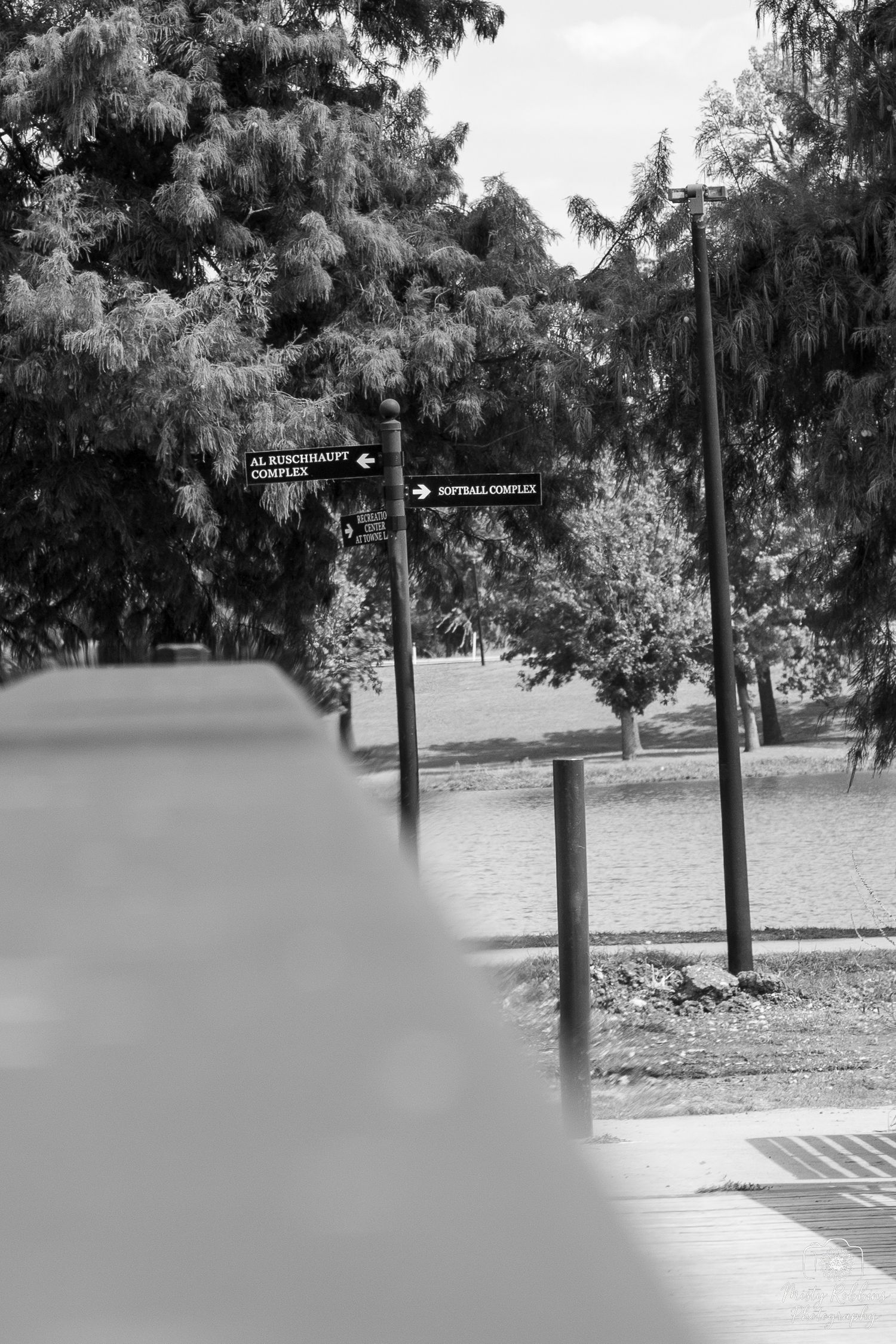 A black and white panoramic sequence showing a path through trees with signposts visible in the distance.