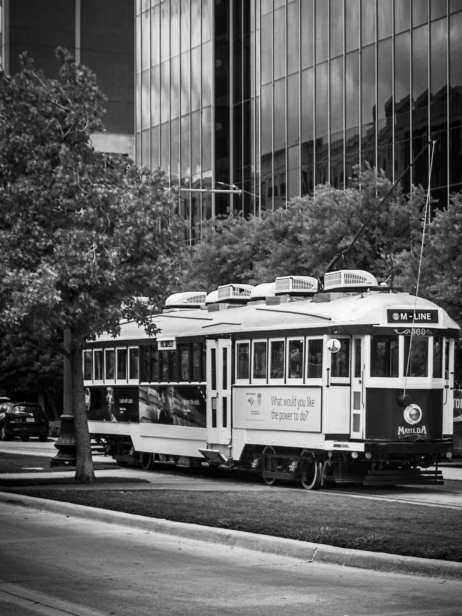 Black and white photo of the M-Line trolley streetcar traveling through downtown Dallas, TX with trees and glass buildings.