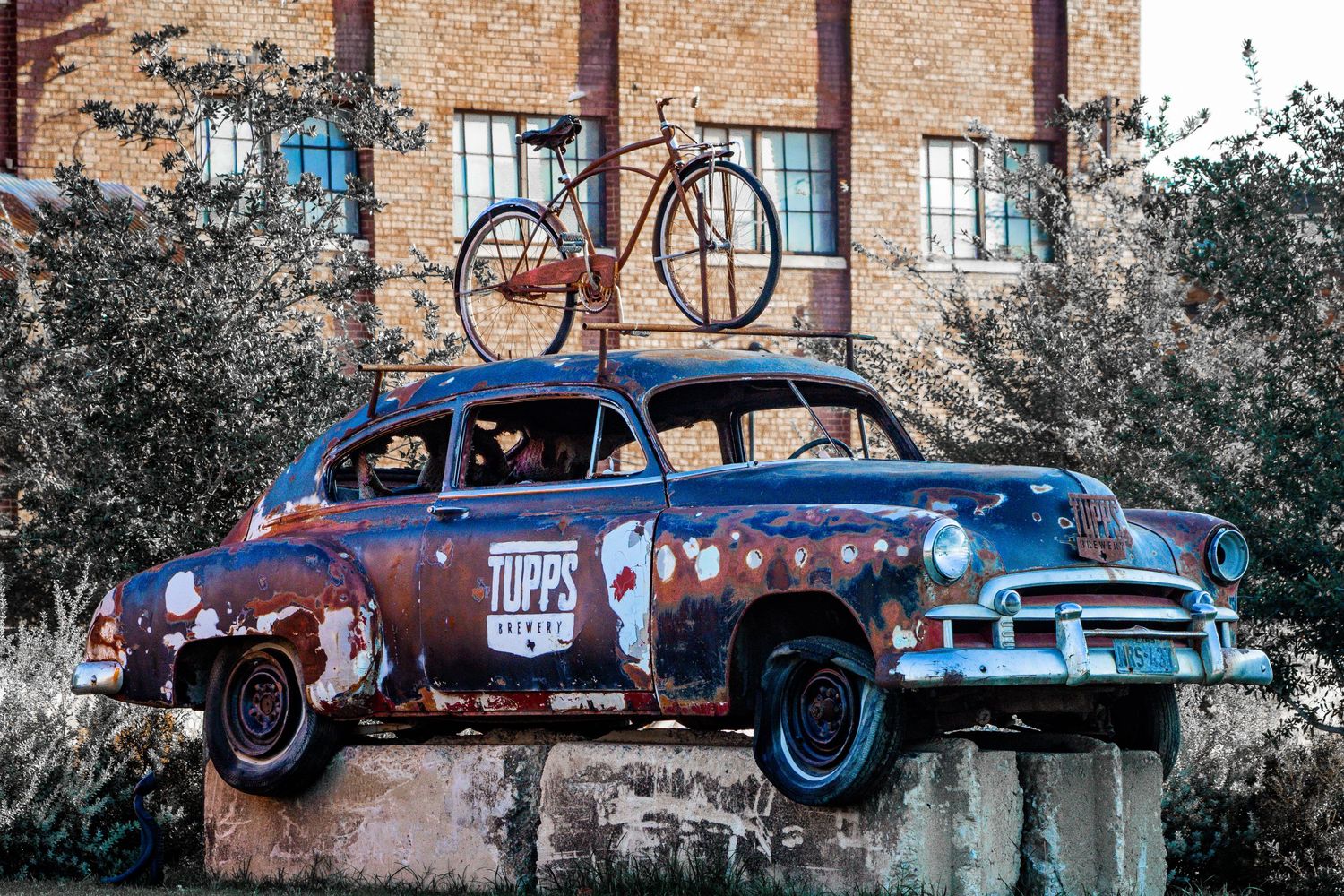A collage of vintage classic cars displayed against rustic brick walls and urban settings.