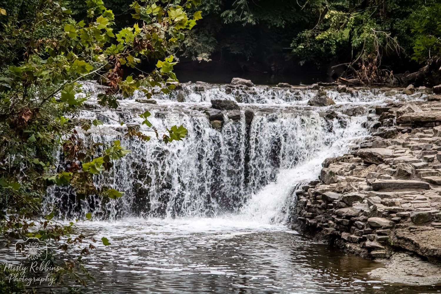 Cascading waterfall flows over rocky ledges surrounded by lush green foliage in a peaceful forest setting.