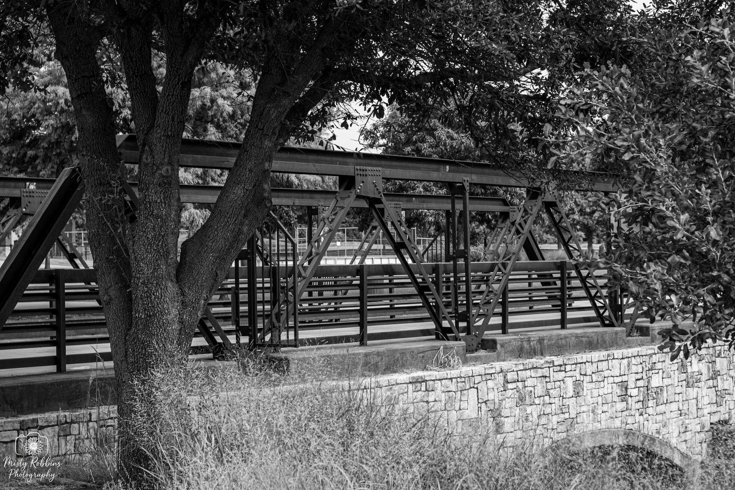 A rustic wooden bridge spans across a tranquil creek with stone walls and overhanging trees creating a peaceful scene.