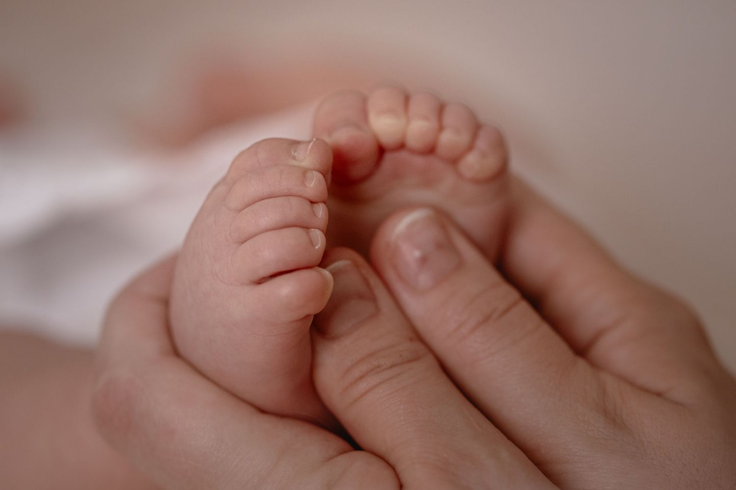 Close-up of tiny newborn feet being gently held in adult hands.