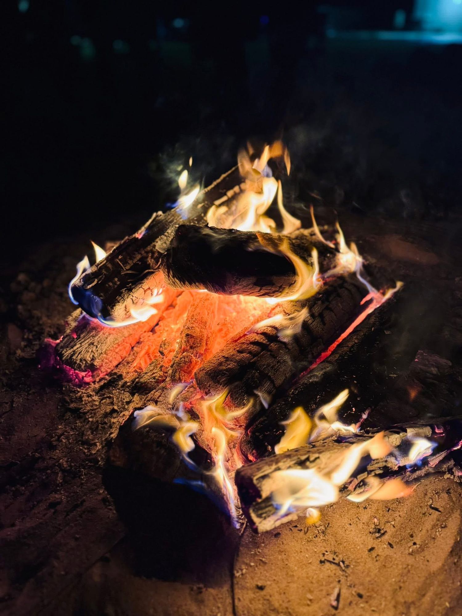 bonfire, family memories