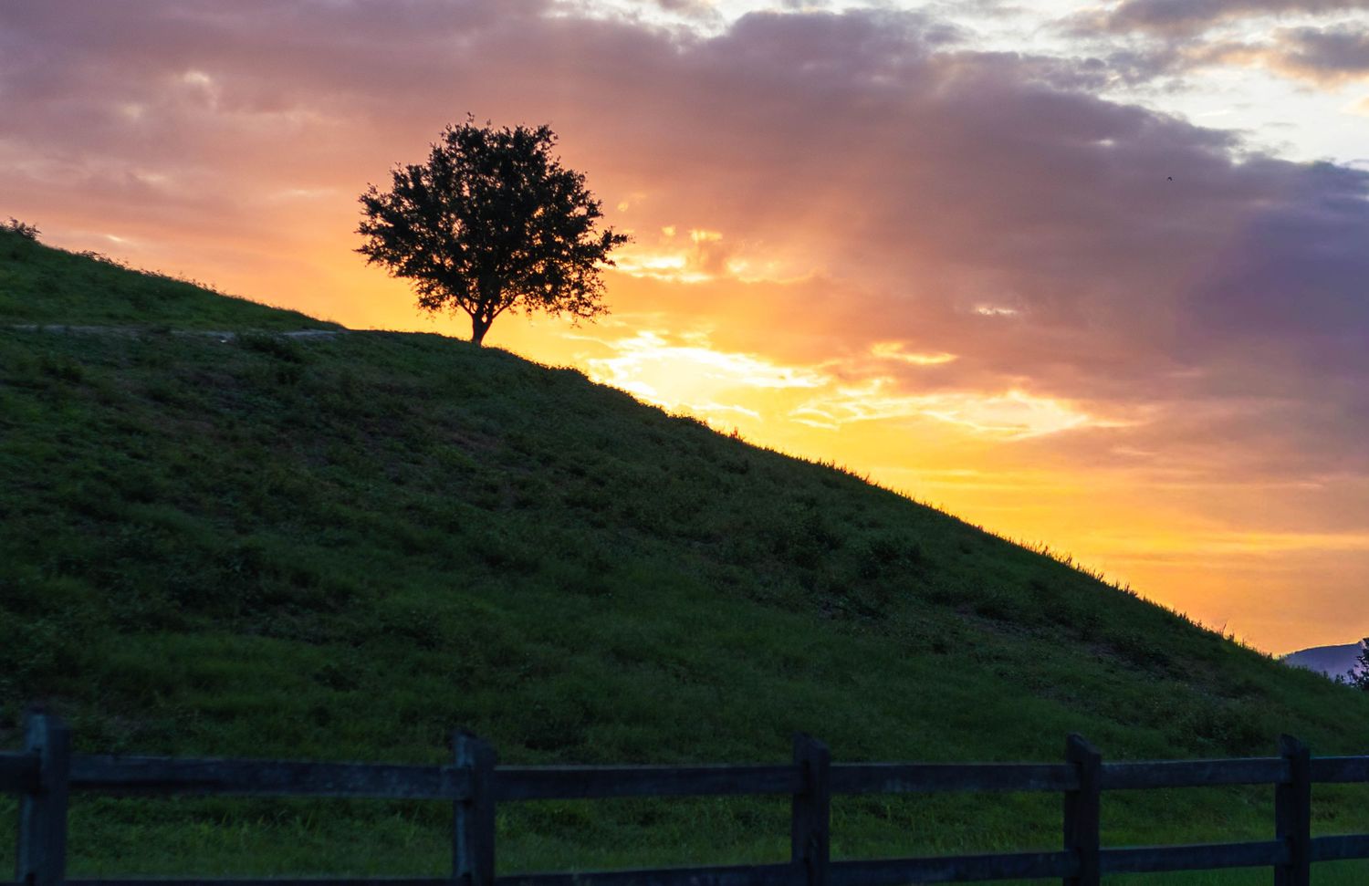 sarasota, celery fields, sunrise