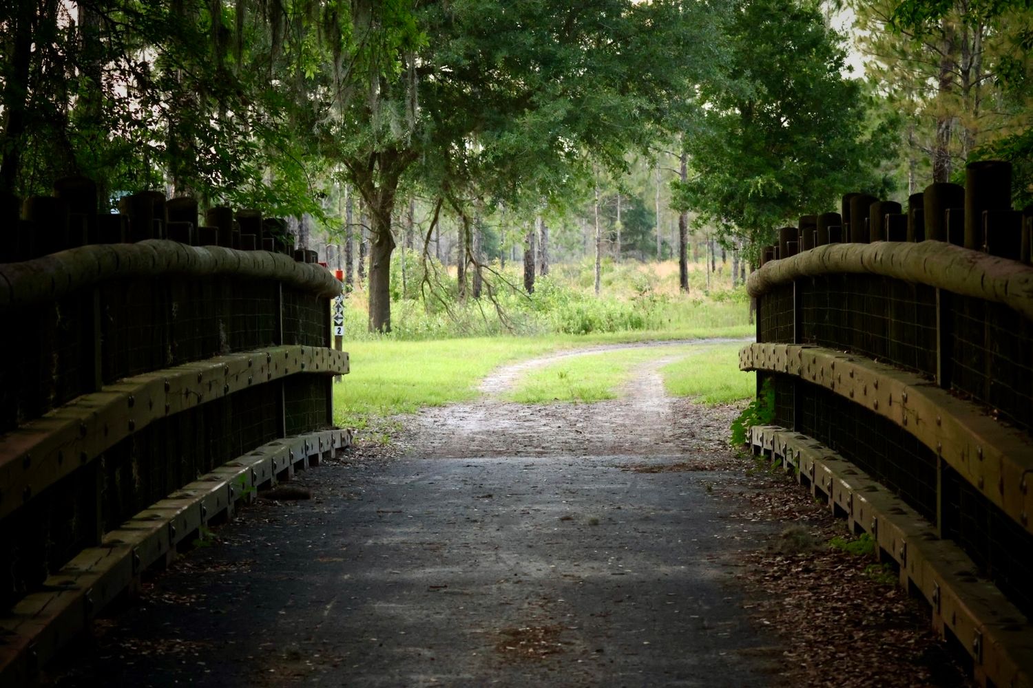 Bridge, Lower Green Swamp, Plant City
