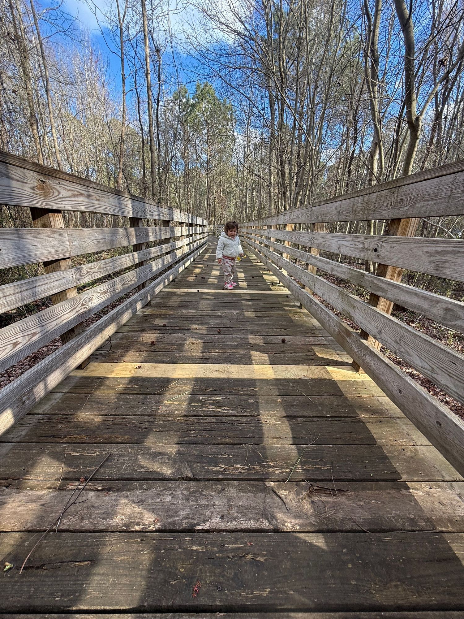 A young child stands on a long wooden bridge surrounded by bare trees on a sunny day.