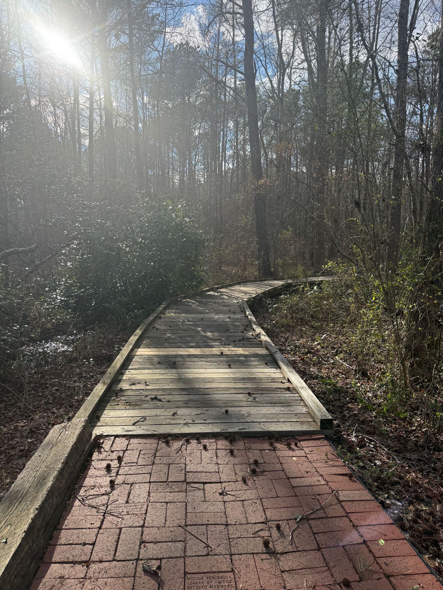 A winding wooden boardwalk path leads through a sunlit forest with bare trees.