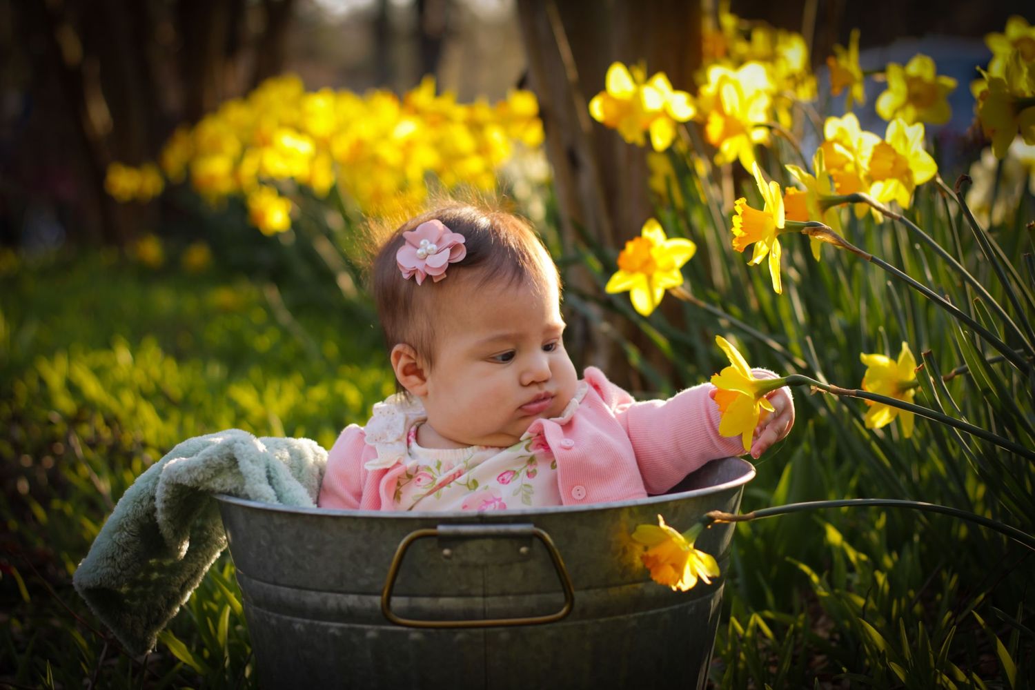 An adorable baby girl in a pink outfit sits in a vintage metal tub surrounded by bright yellow daffodils.