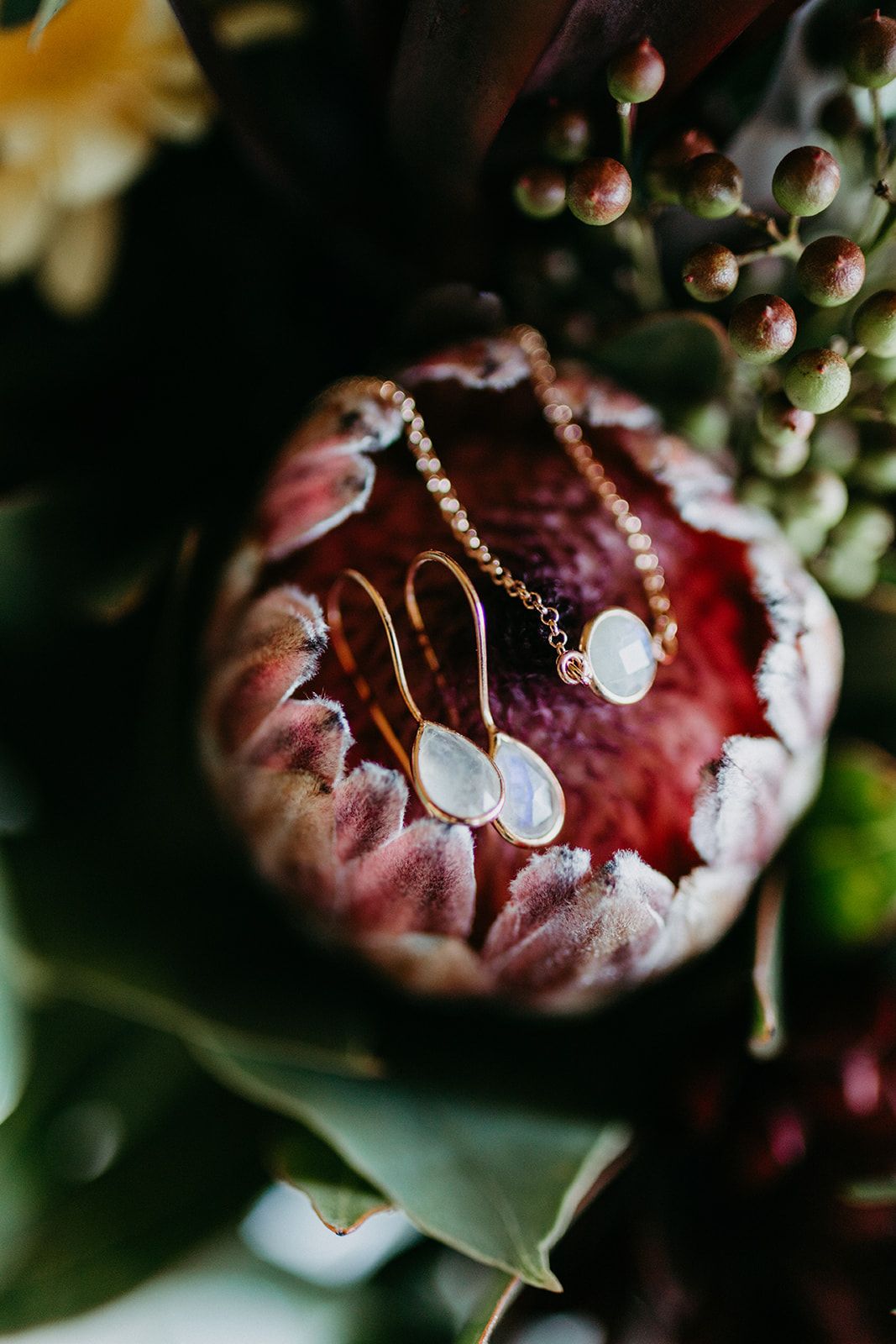 Rose gold teardrop earrings and delicate chain necklace resting inside a vibrant protea flower.