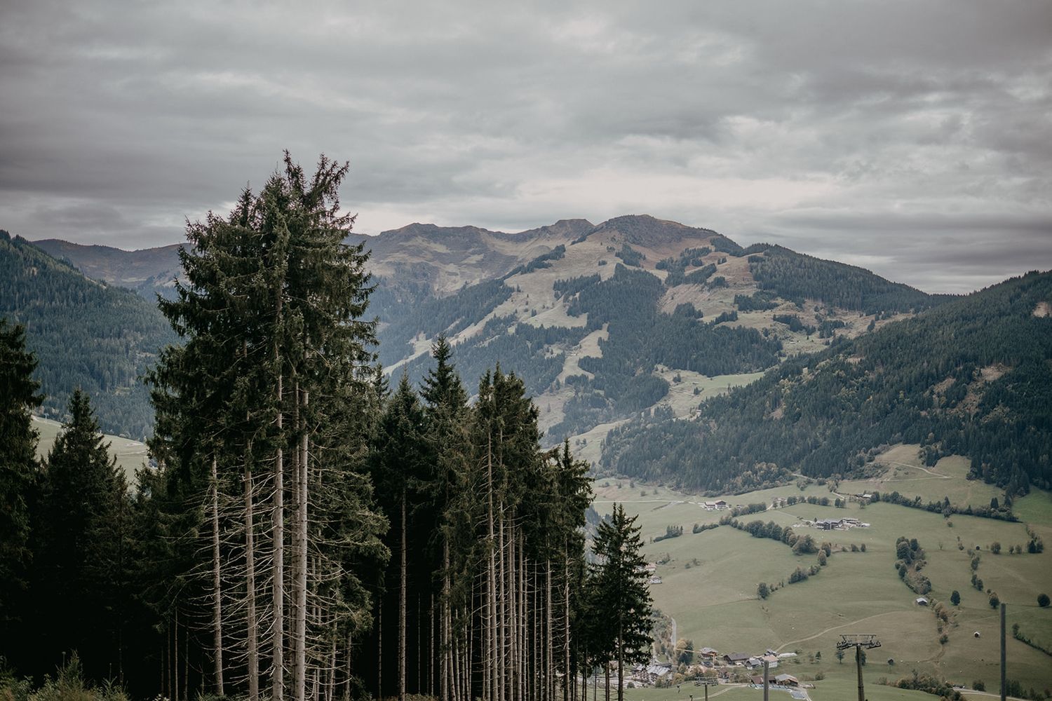 Scenic alpine valley view with tall pine trees and rolling green hills under cloudy skies.