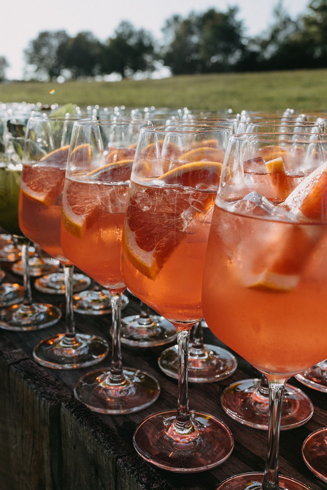 Rows of elegant Aperol Spritz cocktails garnished with orange slices served at an outdoor wedding.