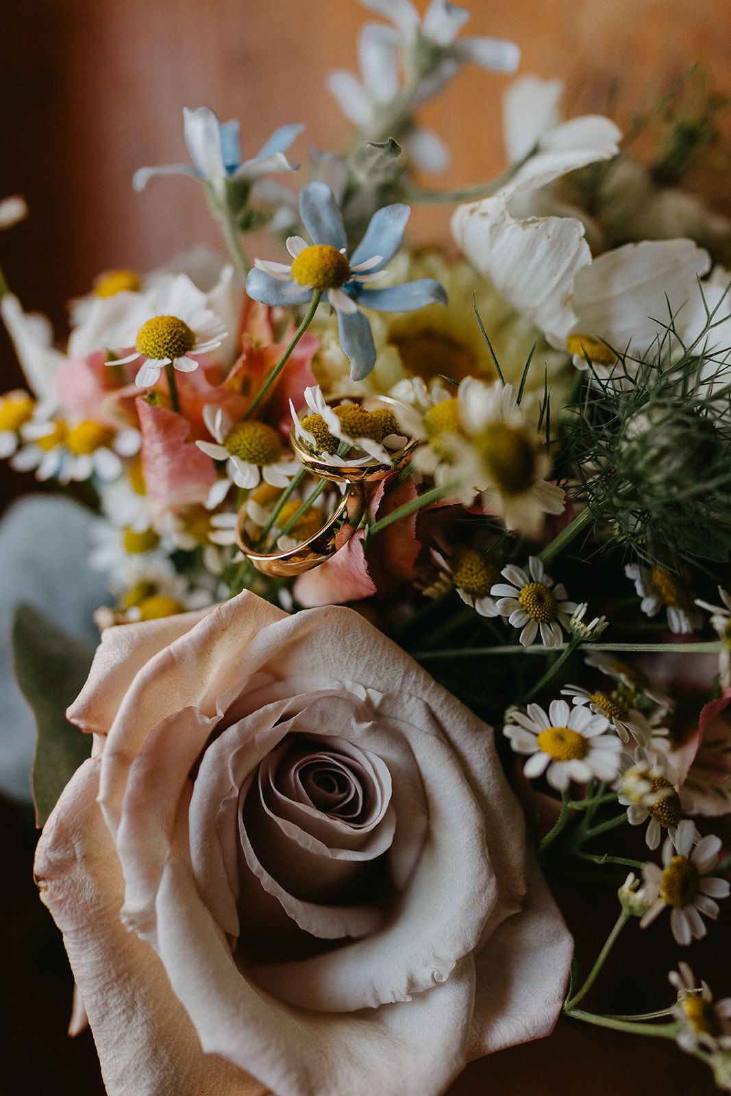 Close-up of a dusty rose with gold wedding rings resting among wildflowers and daisies.